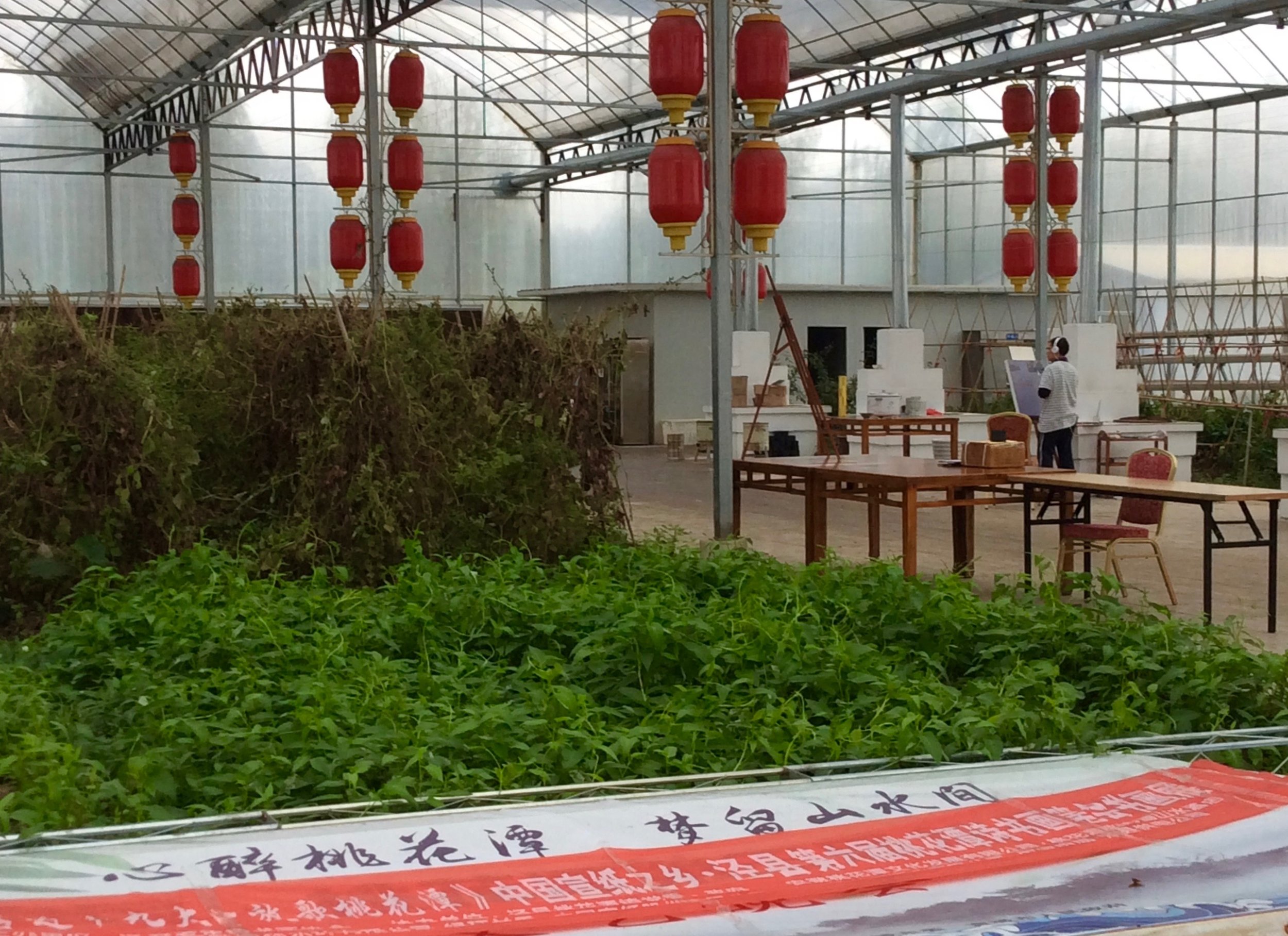 Inside the hotel's greenhouse, where Robert Scott set up his studio.