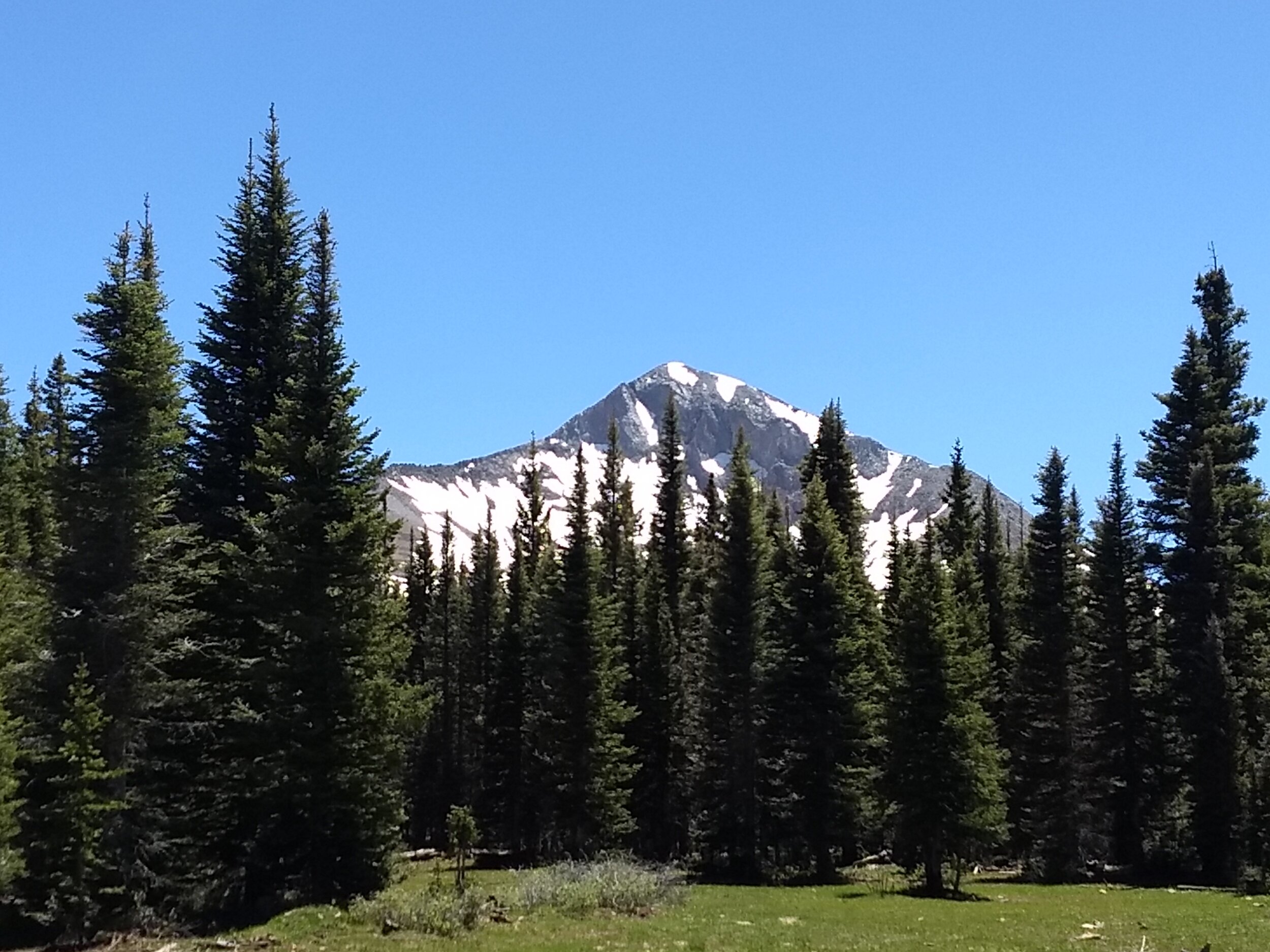 IMG_20190703_143935561.jpg
