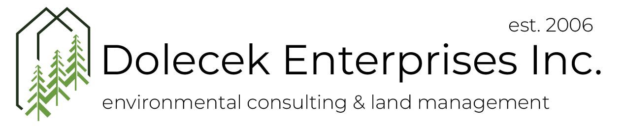 Dolecek Enterprises Inc.