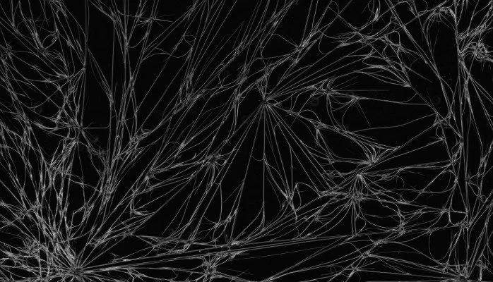 Seven Dark Patterns in UX Design