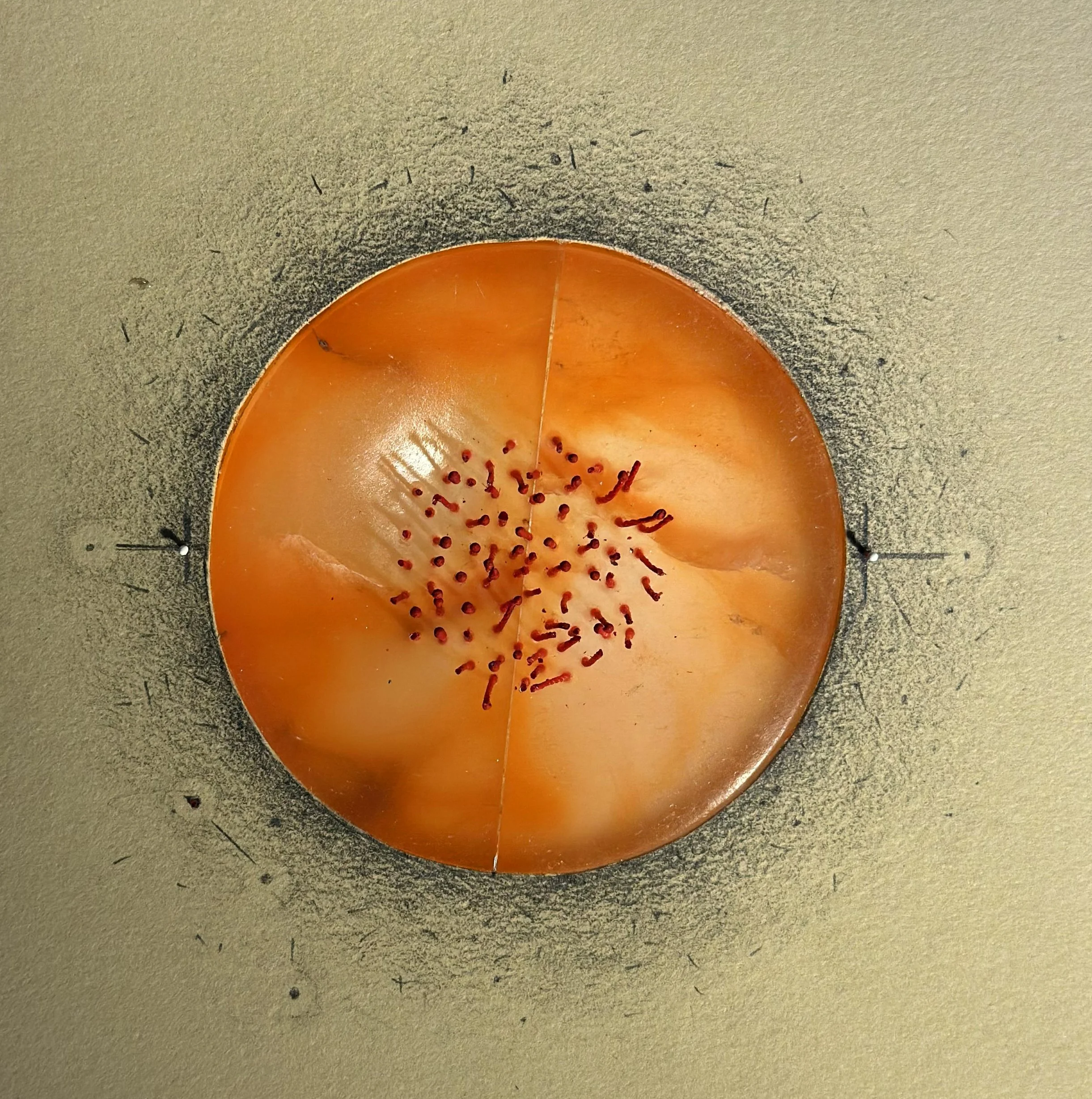 "Pond"  2025 Alabaster, Thread, Graphite on Paper  5"x5"x1/4"