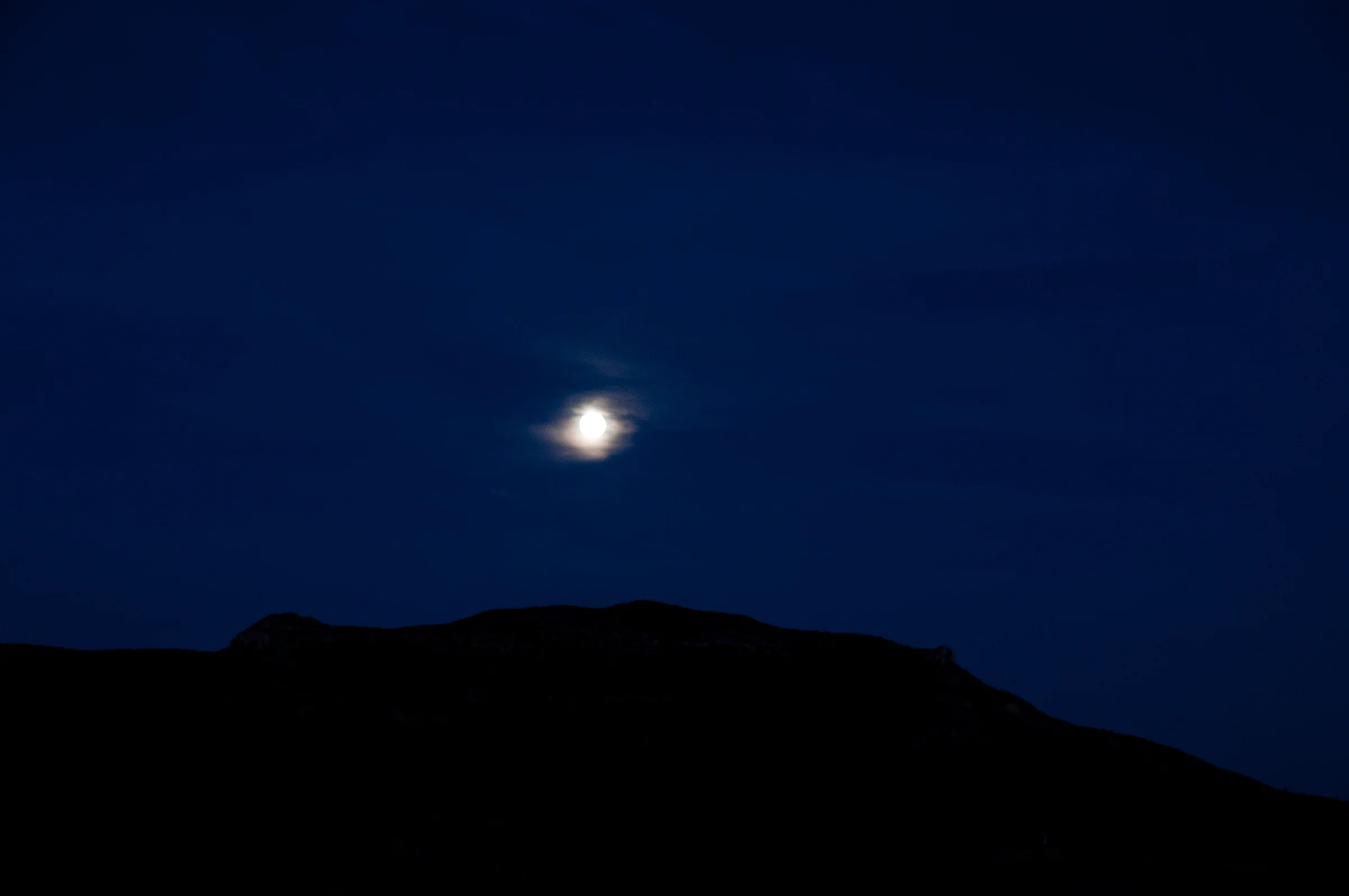 _DSC0901.jpg