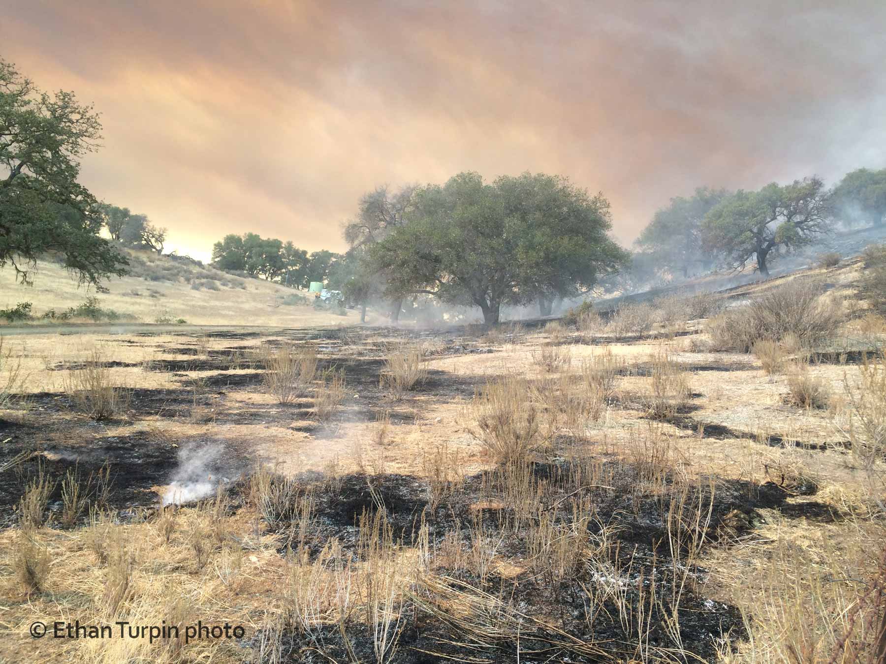 ReyFire-Patchwork-EthanTurpinPhoto_4147-C-SSM.jpg