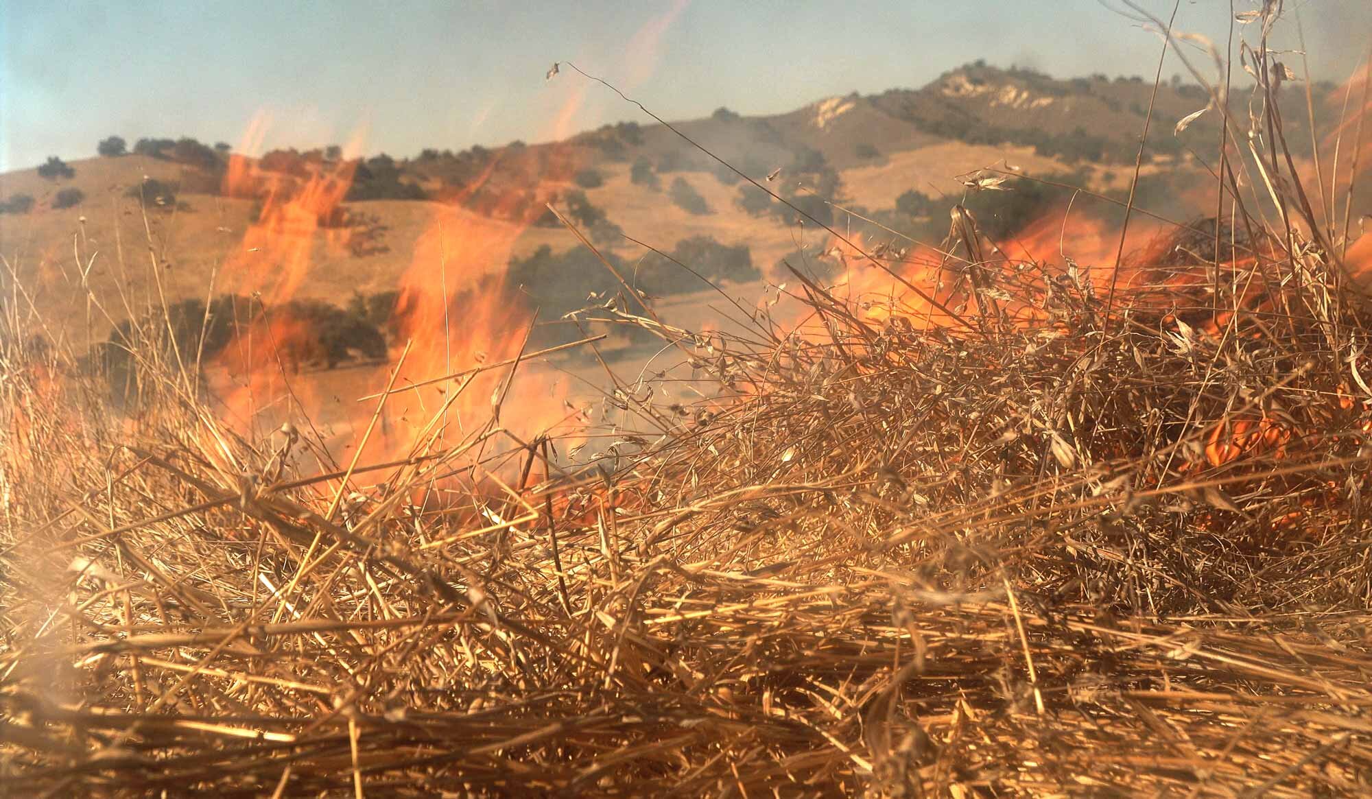 BurnCycle-Sedgwick-Box-GrassFire-C0265.MP4.11_13_47_23.Still001-edit-web2000.jpg
