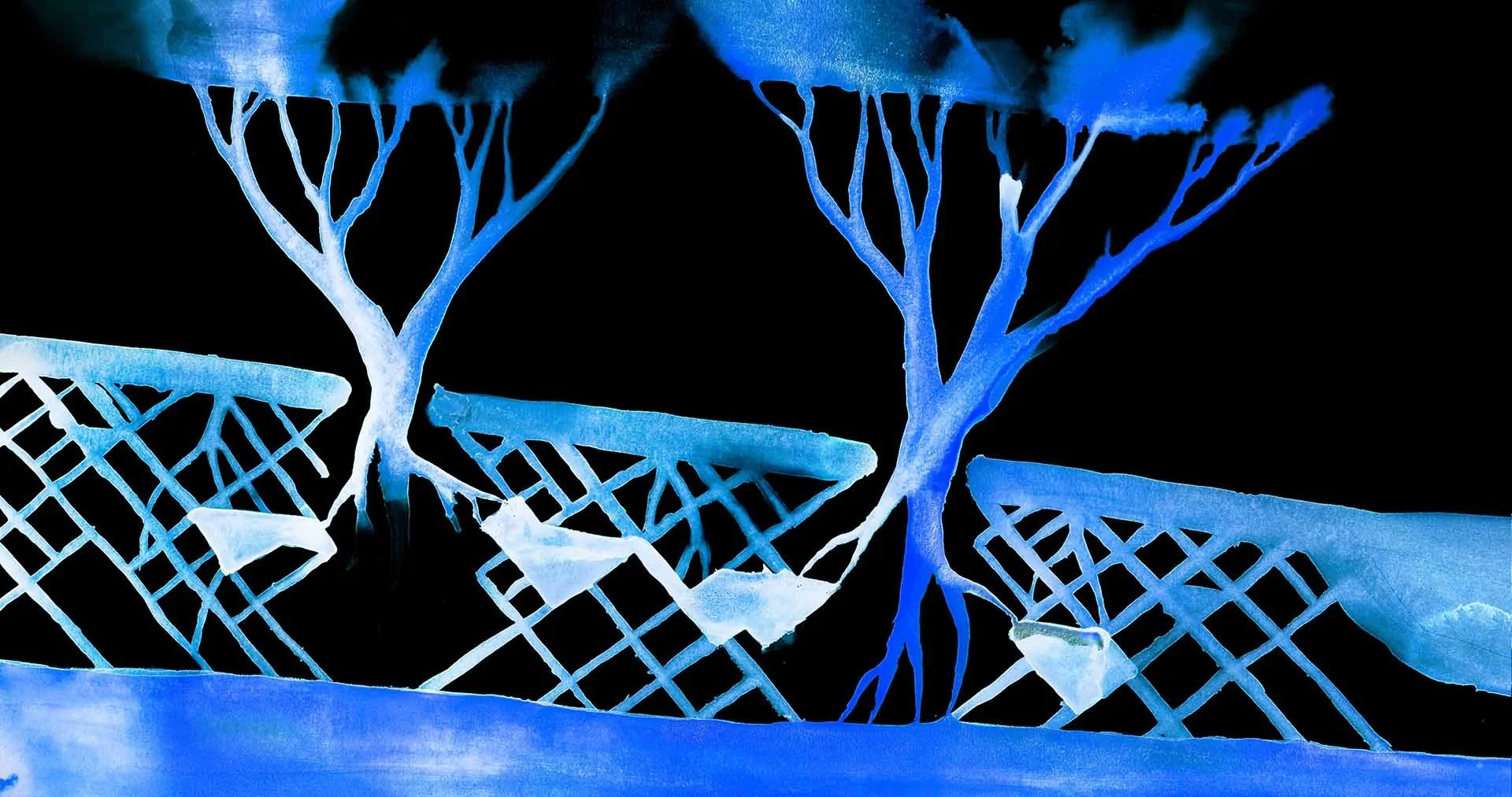 TreeWater-EthanTurpin-Wide landscape_10-04_Press_captioned-web1920.jpg