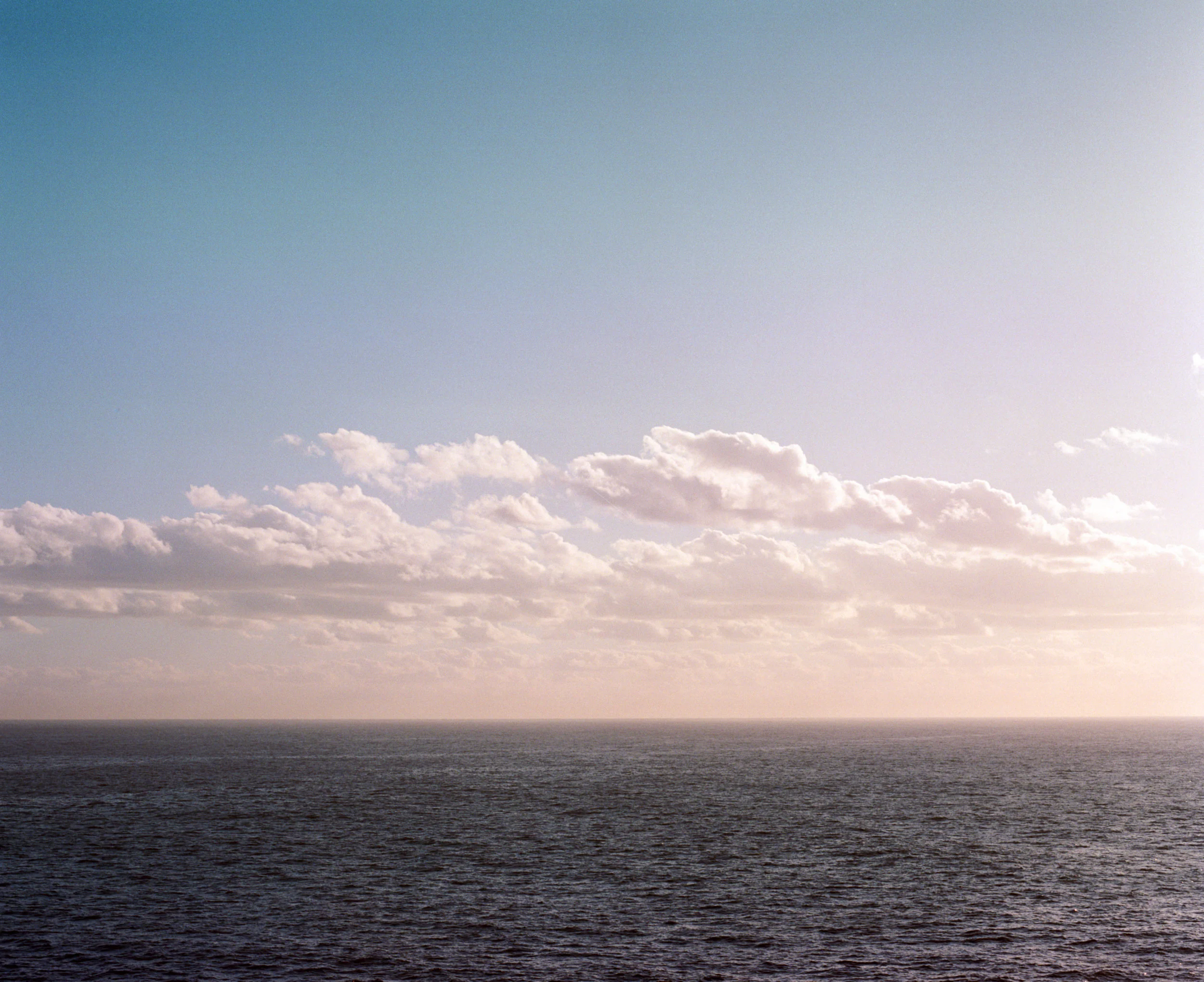 ROSEBAY (7 of 11).jpg