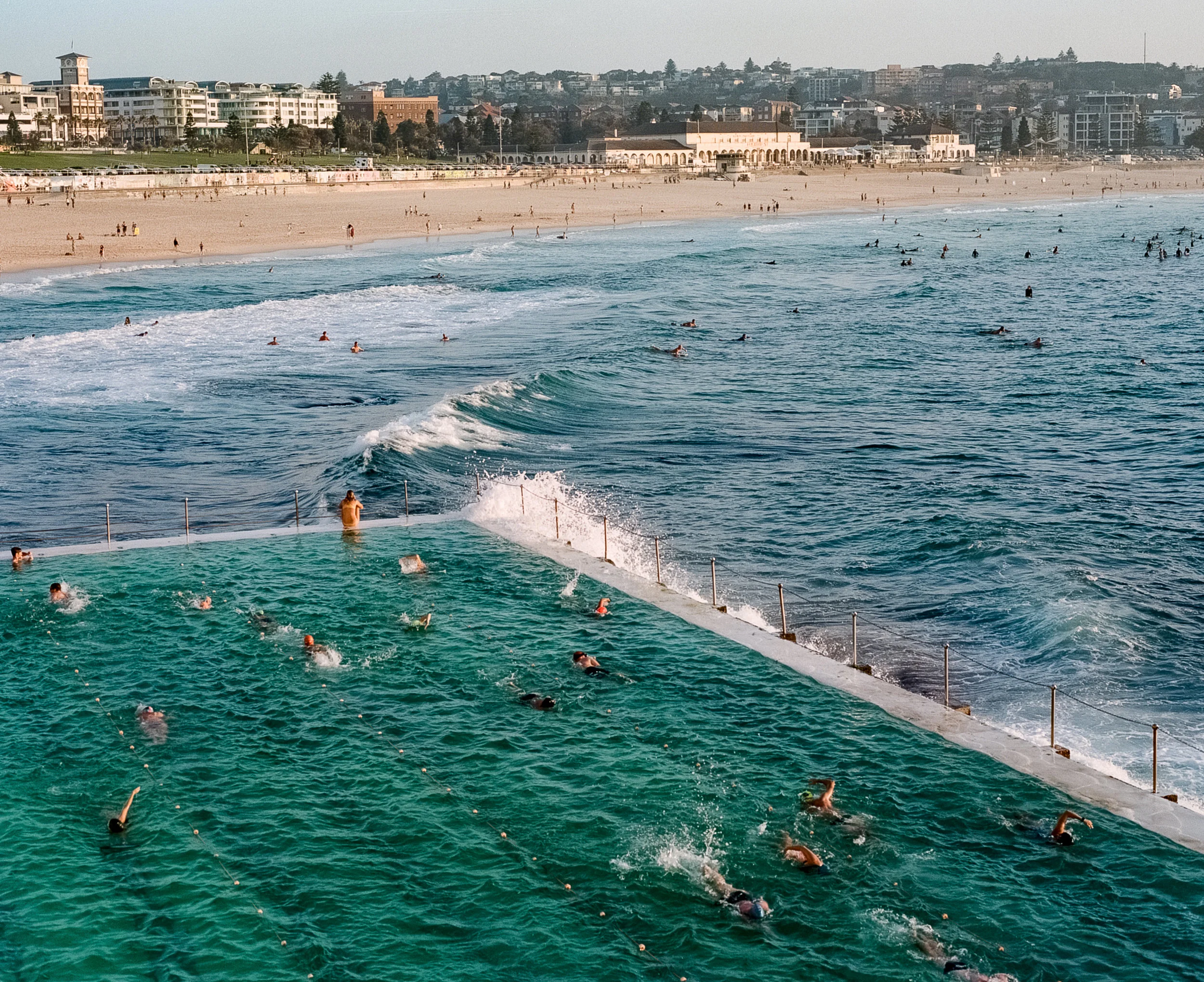 BONDI EXPORT-2-2.jpg