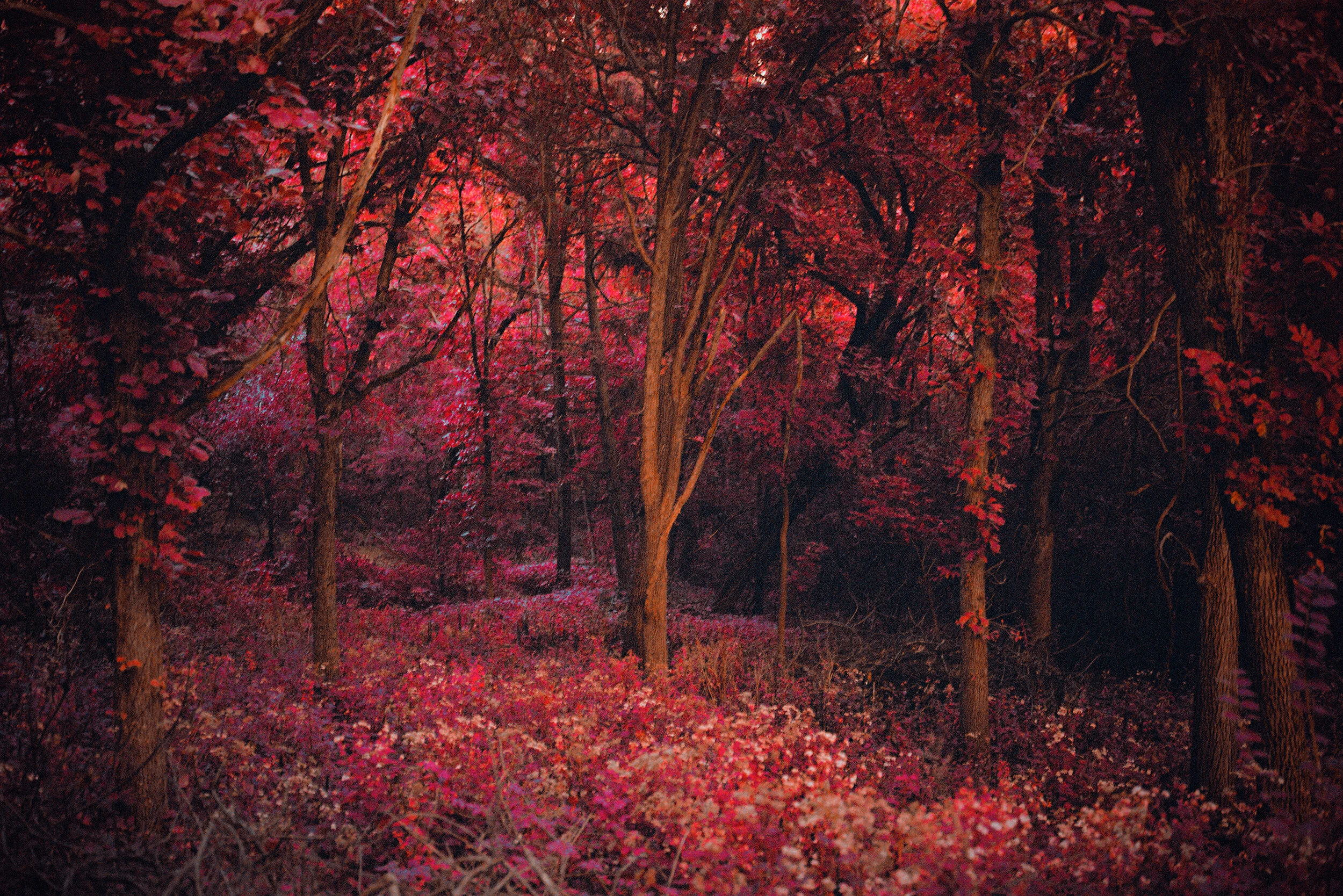 RNI-Aero-IMG-4ADD6D07-027D-490D-99BA-9DDCFD195316 2.JPG