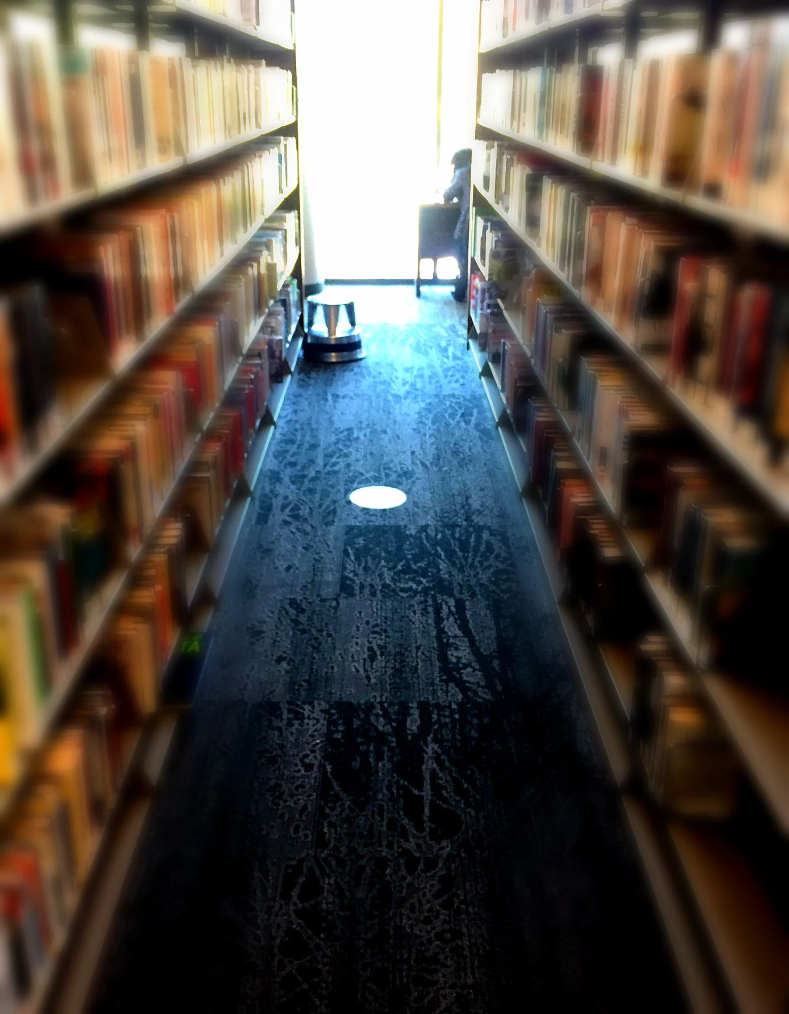 Serendipity and the Library