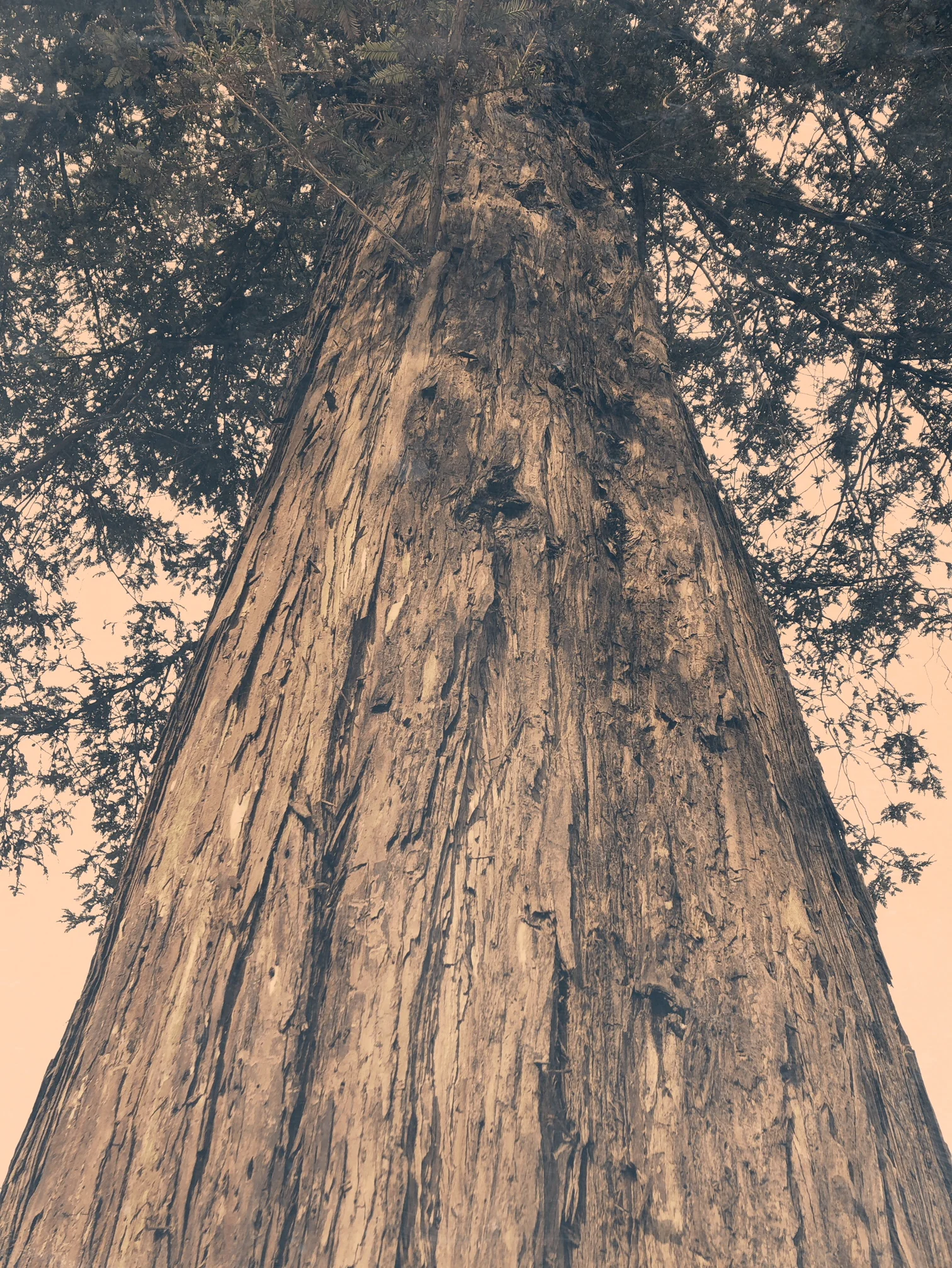 Tell Me Your Challenges