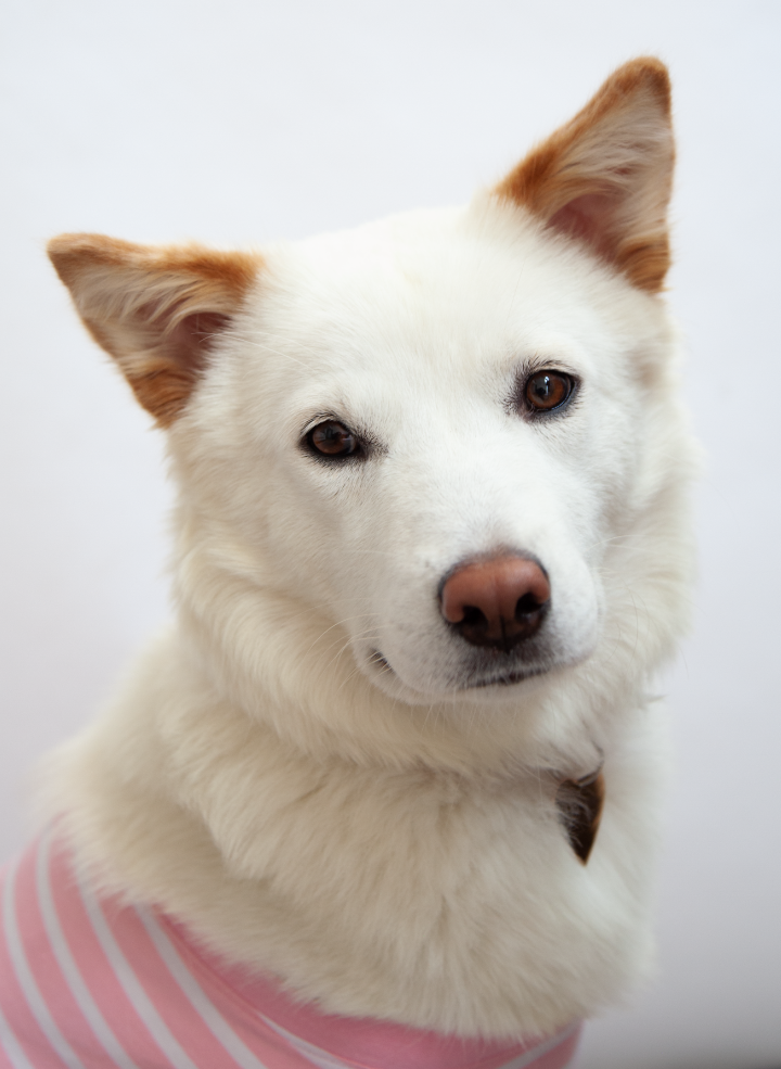 Screenshot 2026-03-02 at 6.24.18 PM.png