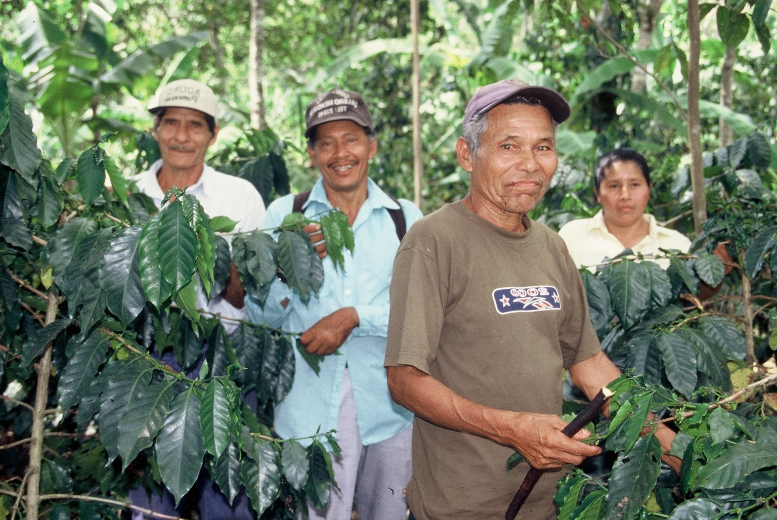 Fair, Organic, 100% Give Back Our Reason for Bean… Learn More