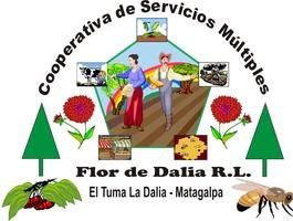 Logo Flor de Dalia.jpg