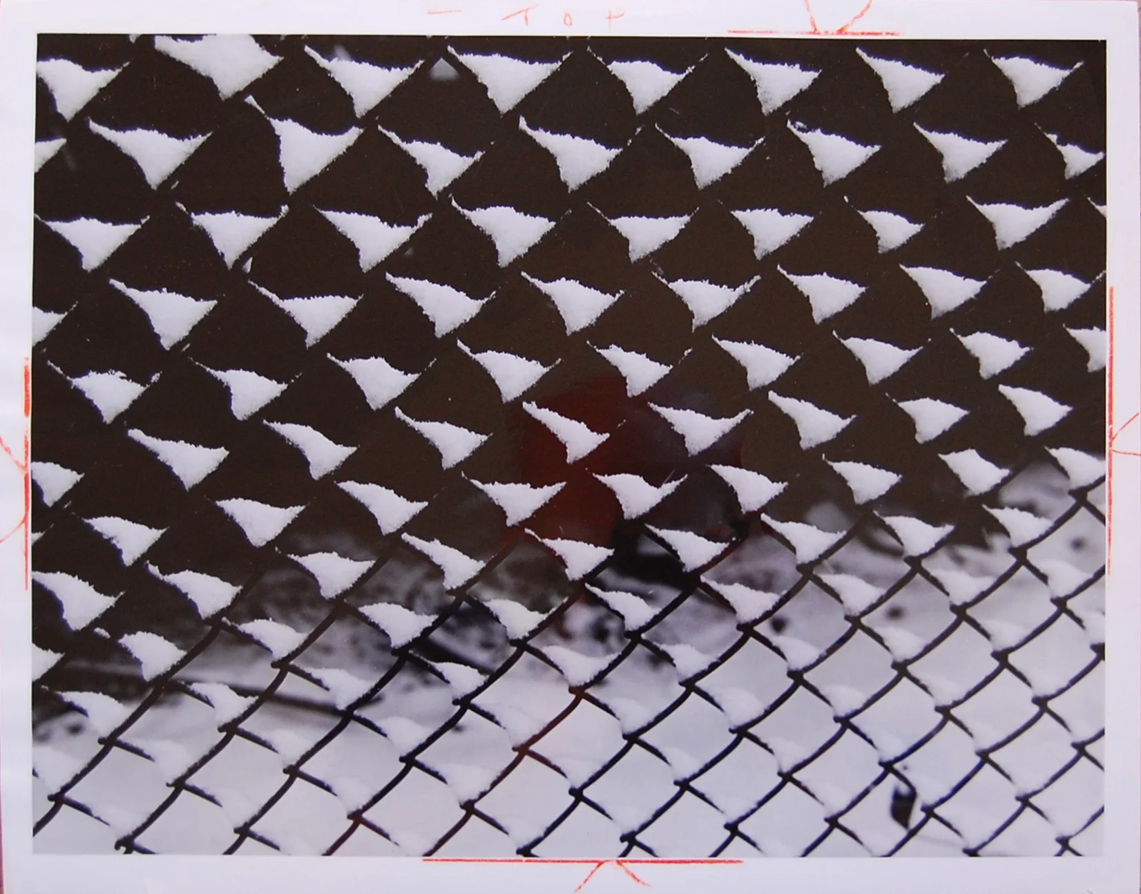 SNOW ON A FENCE