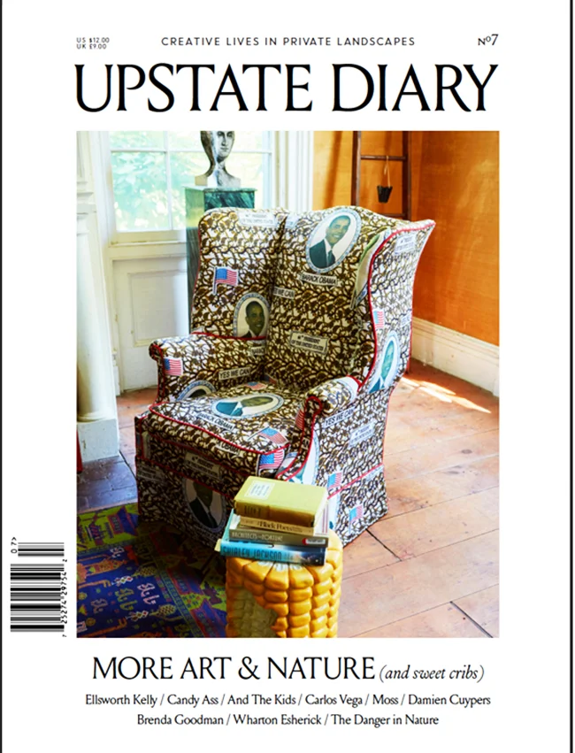 upstate cover.jpg