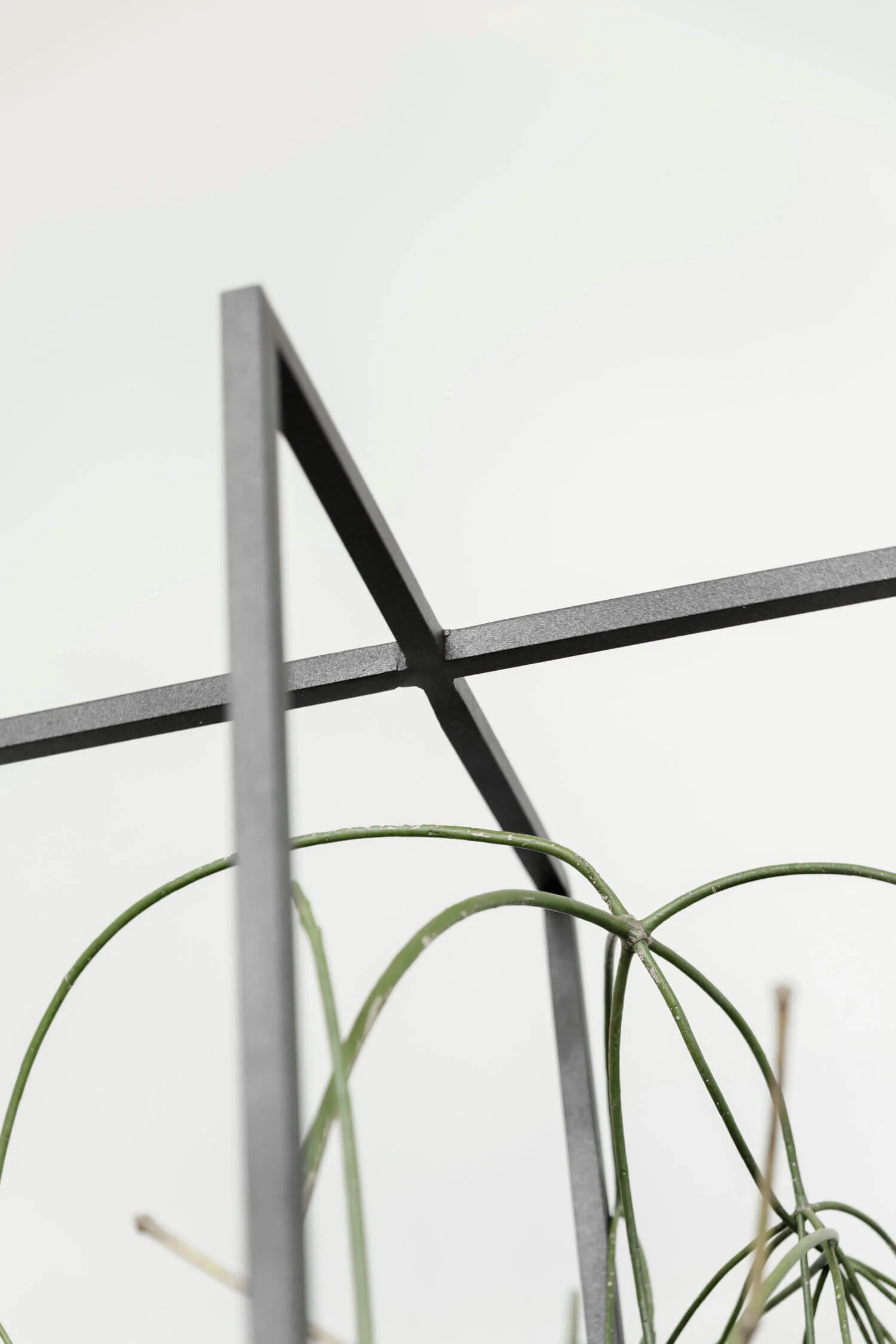 Proyecto de arquitectura de interiores en Departamento Lomas de Vista Hermosa