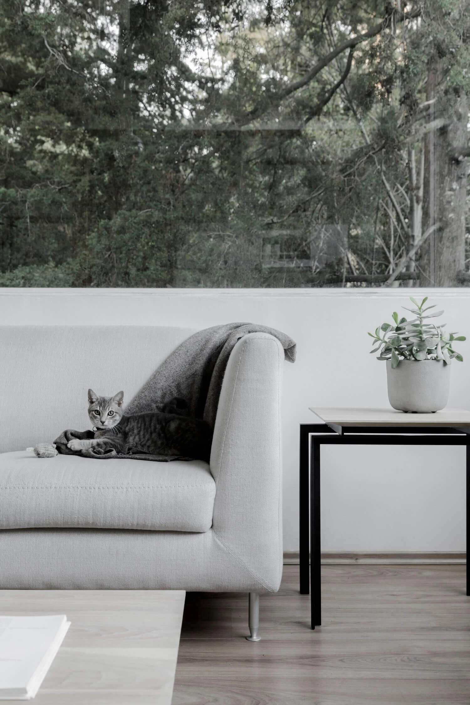 Proyecto de arquitectura de interiores en Departamento Lomas de Vista Hermosa