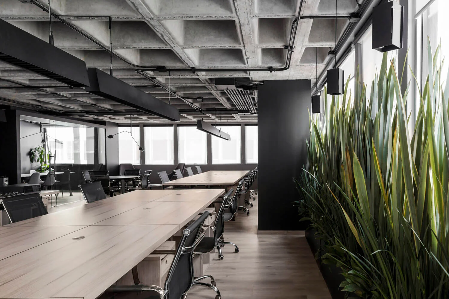 Proyecto de arquitectura de interiores en Oficinas Palmas en Lomas de Chapultepec