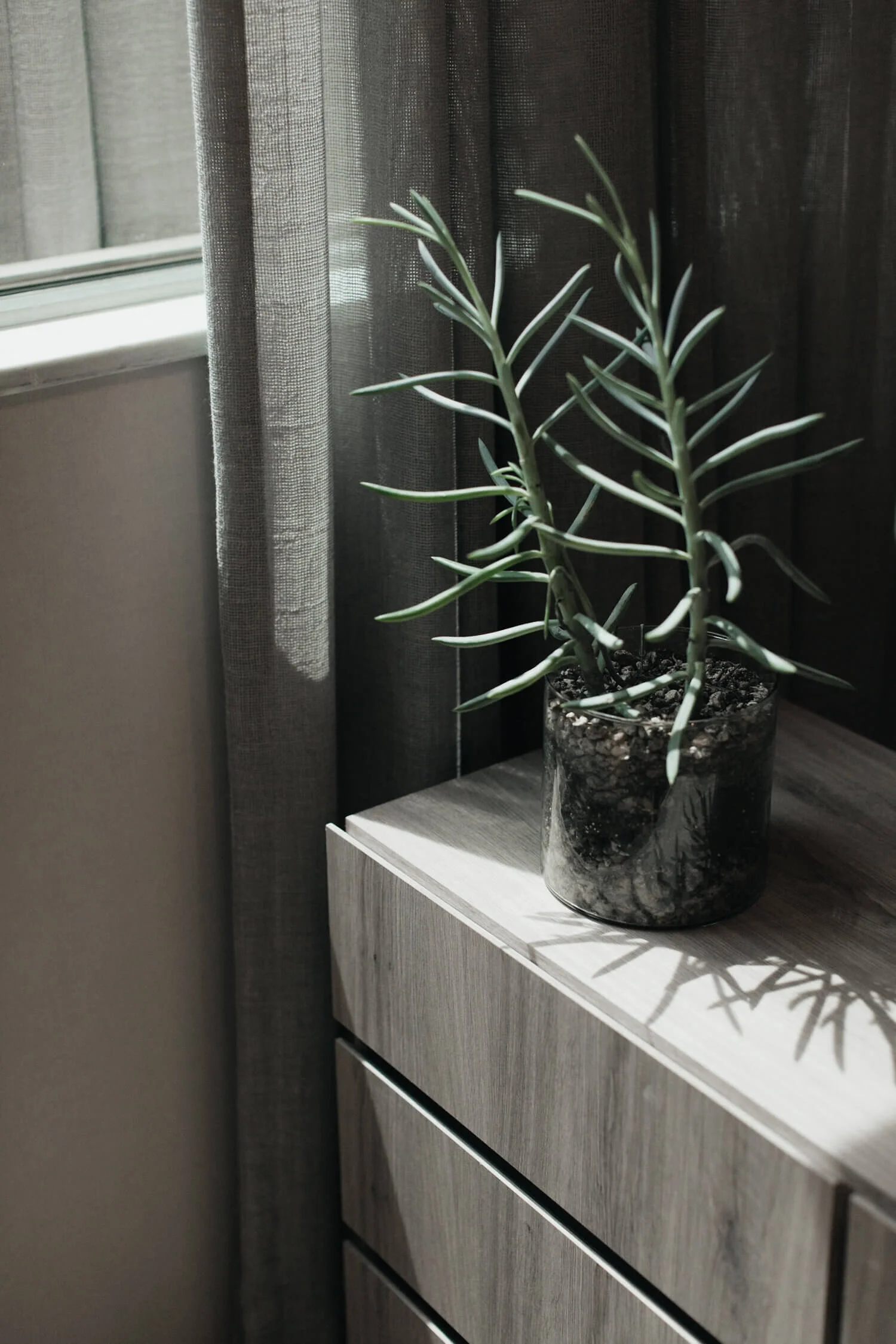 Proyecto de arquitectura de interiores en Oficinas Ciruelos en Bosques de las Lomas