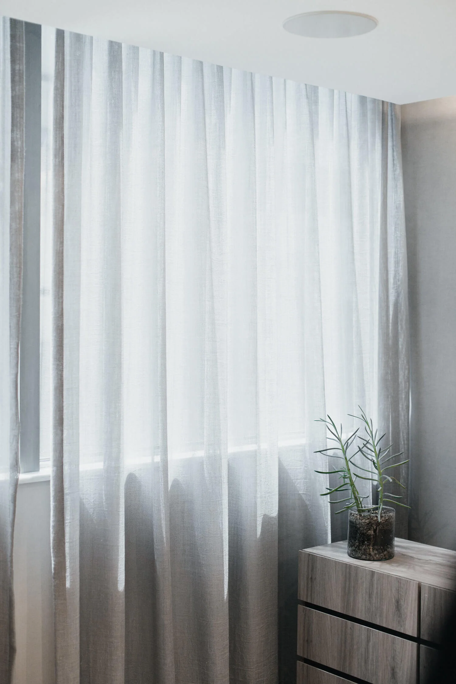 Proyecto de arquitectura de interiores en Oficinas Ciruelos en Bosques de las Lomas