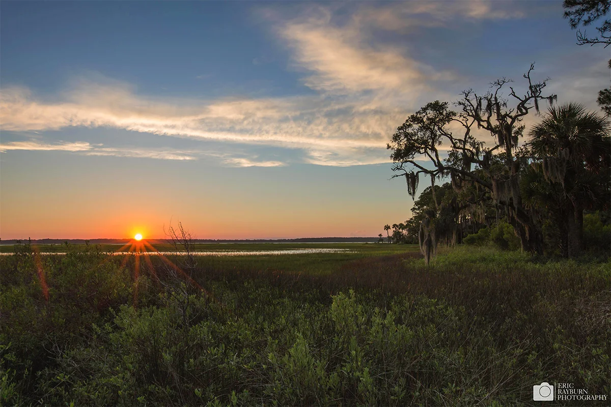 Lowcountry Comfort