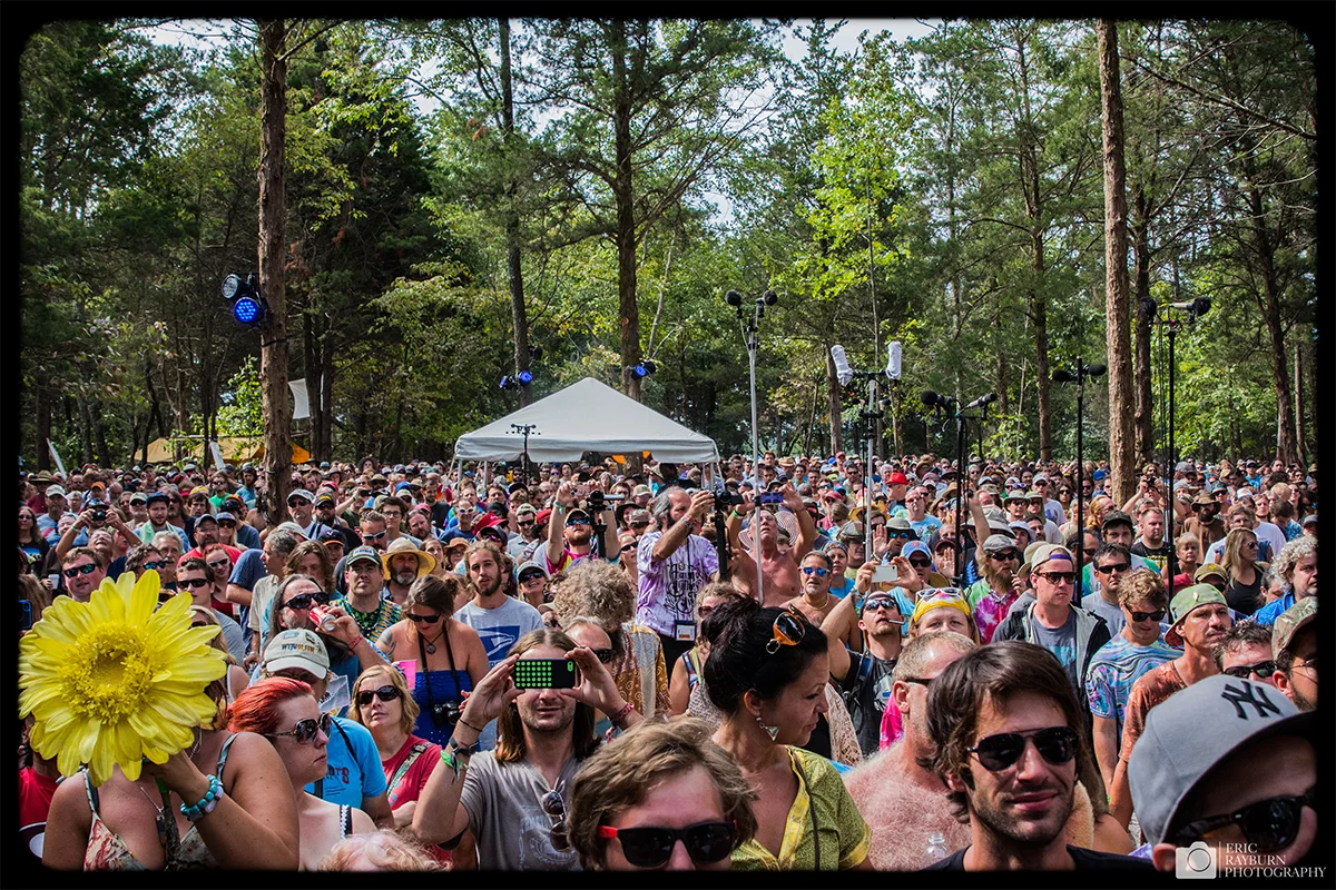 Lockn Crowd