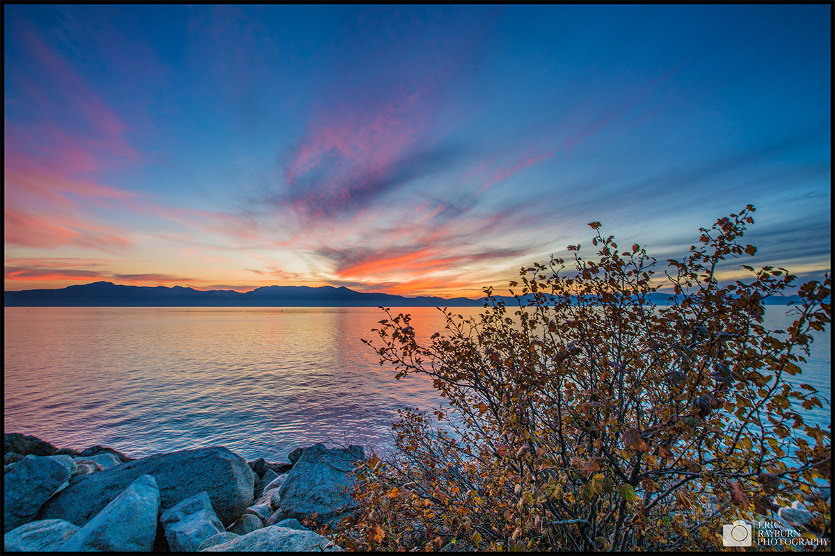 Tahoe Bush Sunset