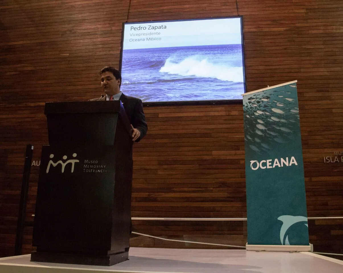 Oceana llega a México y hace un llamado a proteger los mares del país.