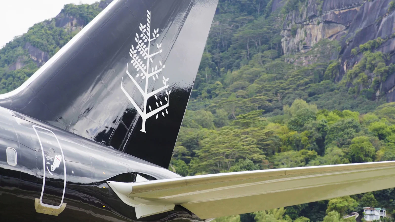 Private Jet Fours Seasons.jpg