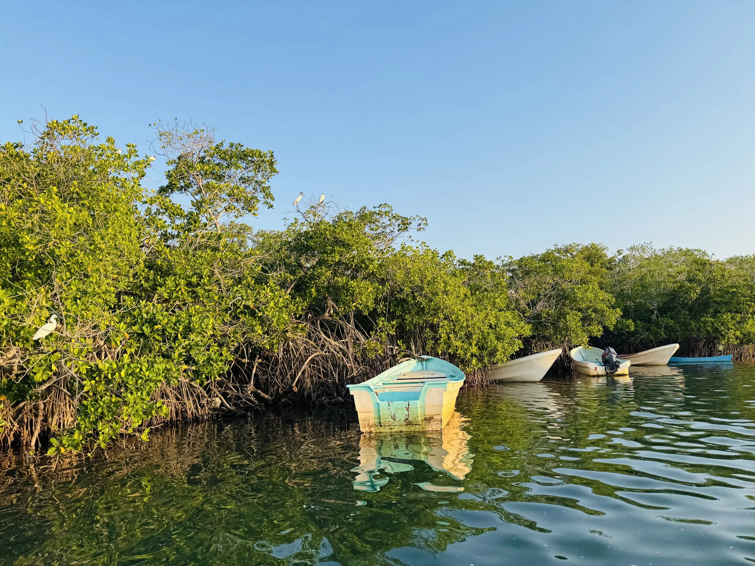 ¡Barra de Potosí, el secreto mejor guardado de la costa de Guerrero! 🌴🌊
