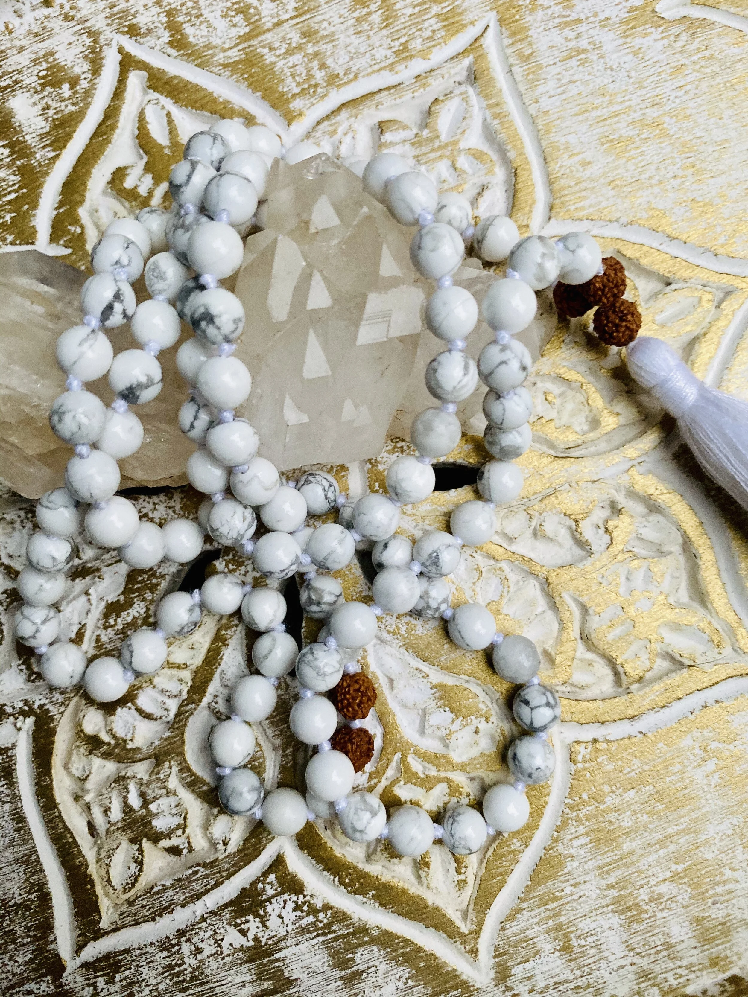 A316D341-C068-47FC-AE1C-D7D366031EF3