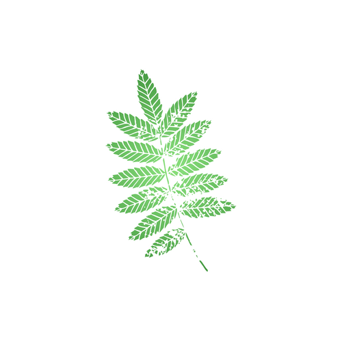 leaf.png