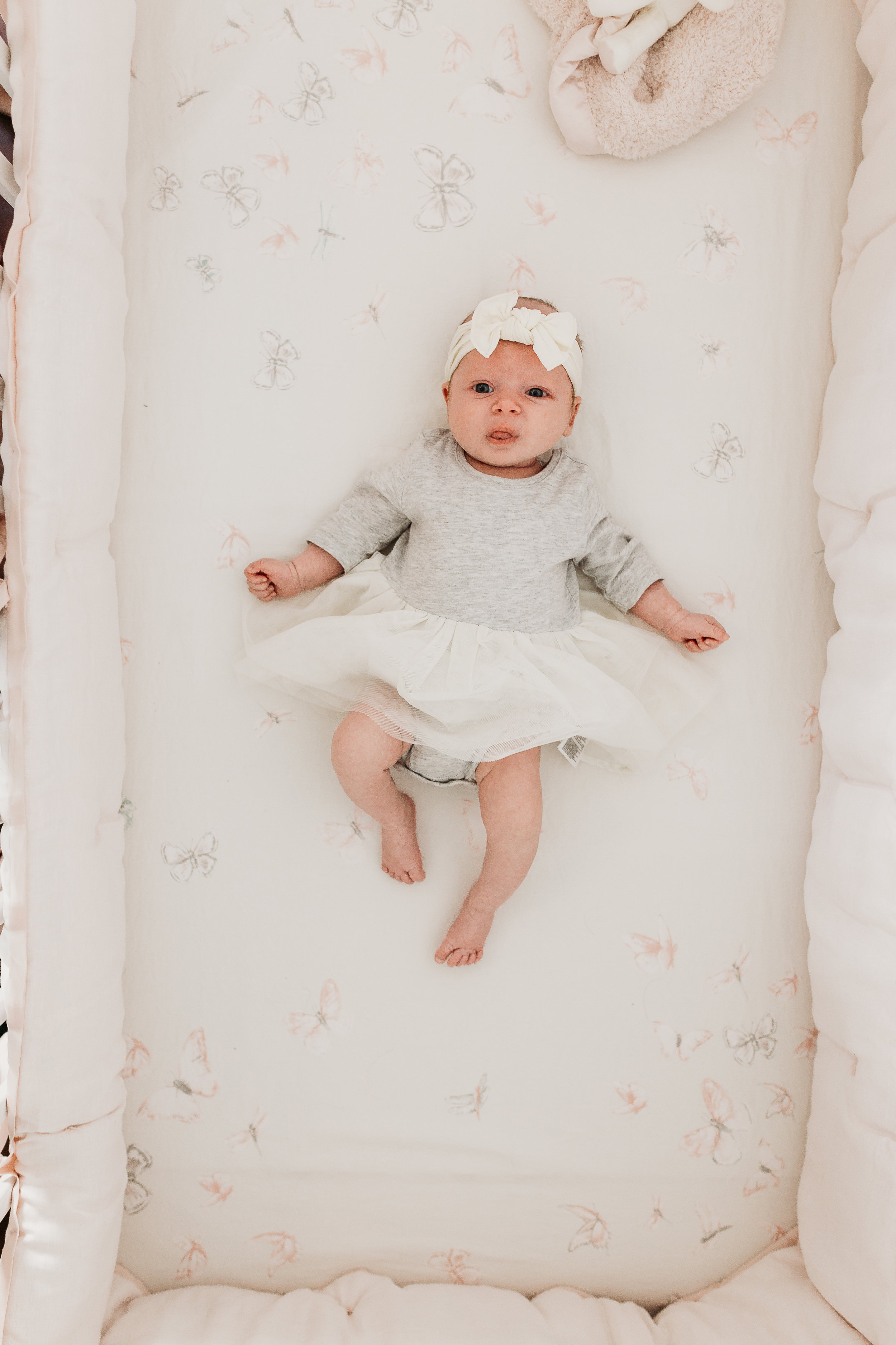 Orlando Florida Newborn Photographer