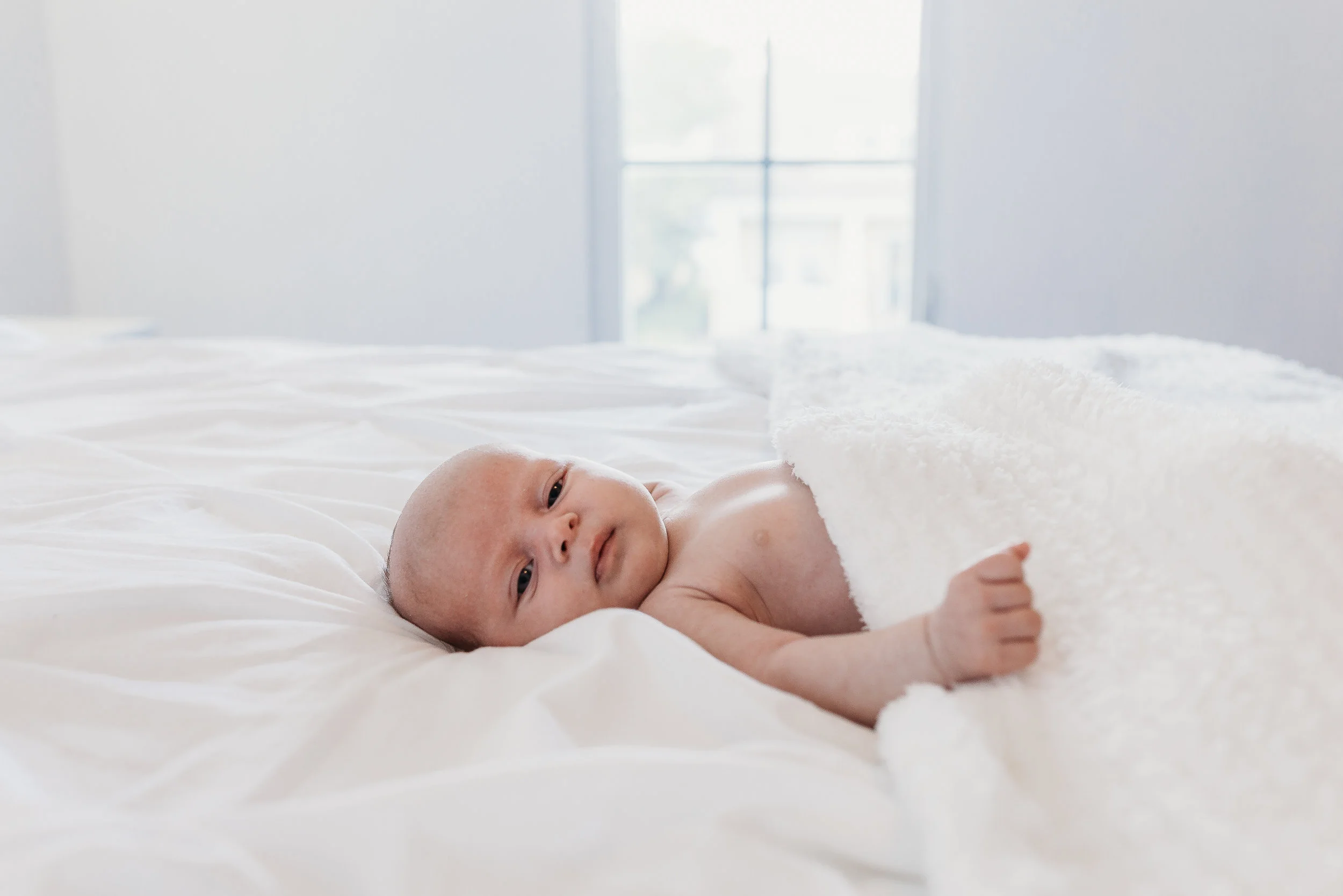 Orlando Florida Newborn Photographer