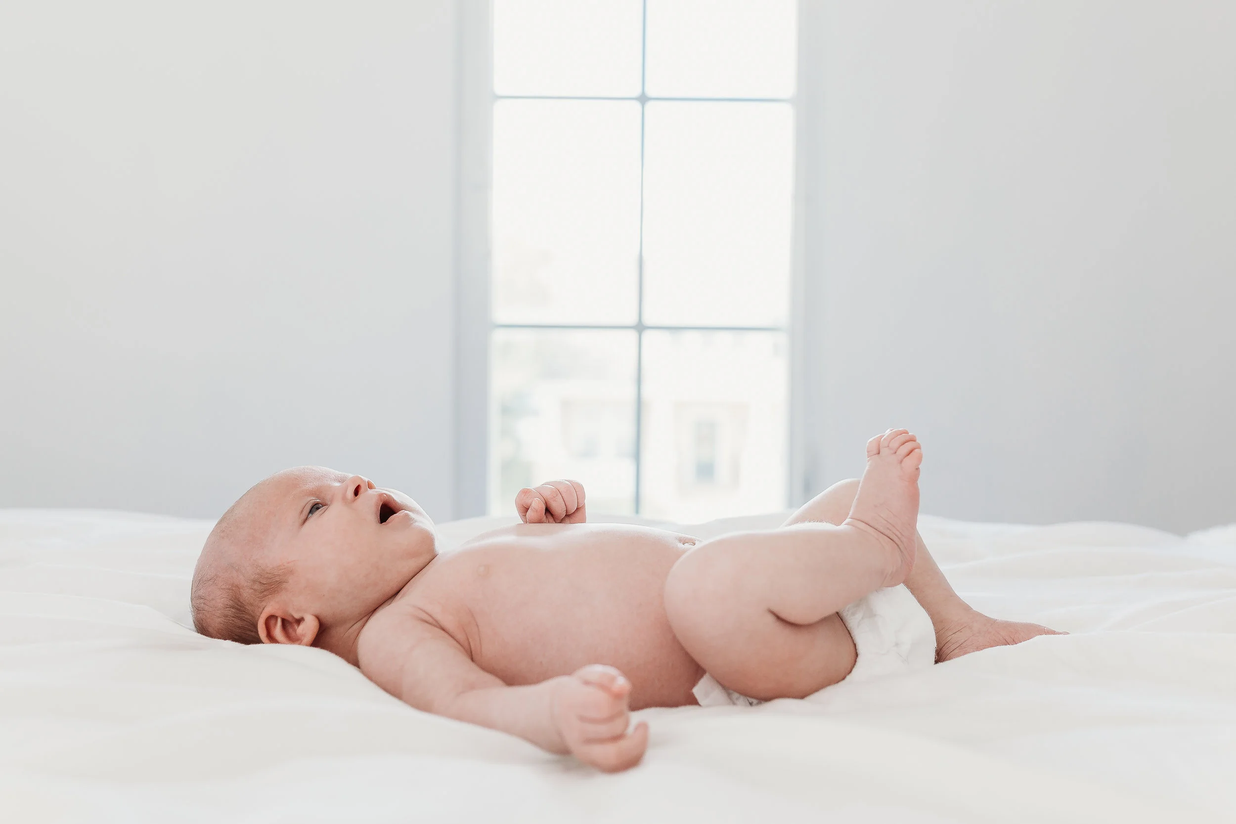 Orlando Florida Newborn Photographer