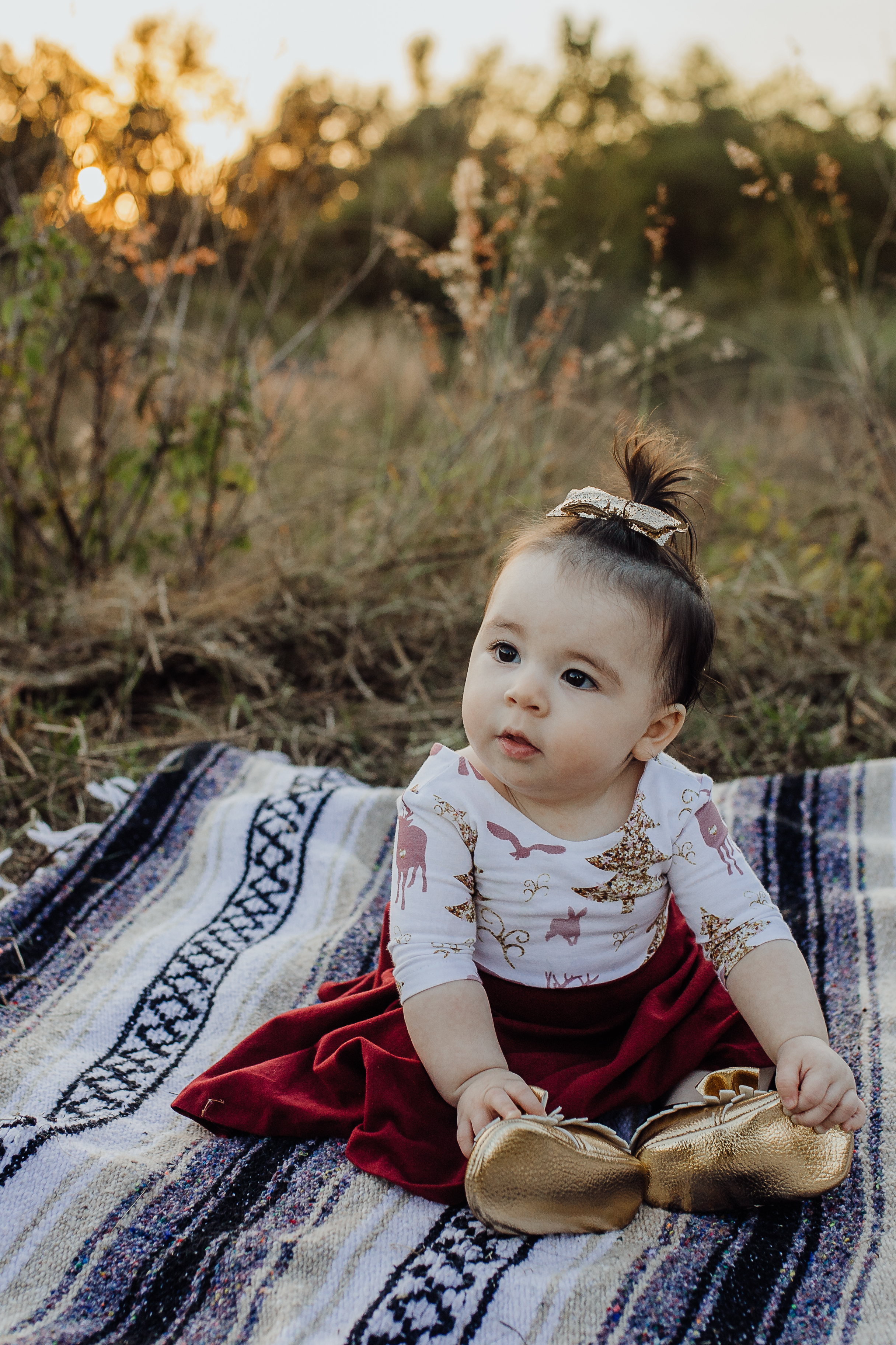 Debary Family Photographer with fall field pictures