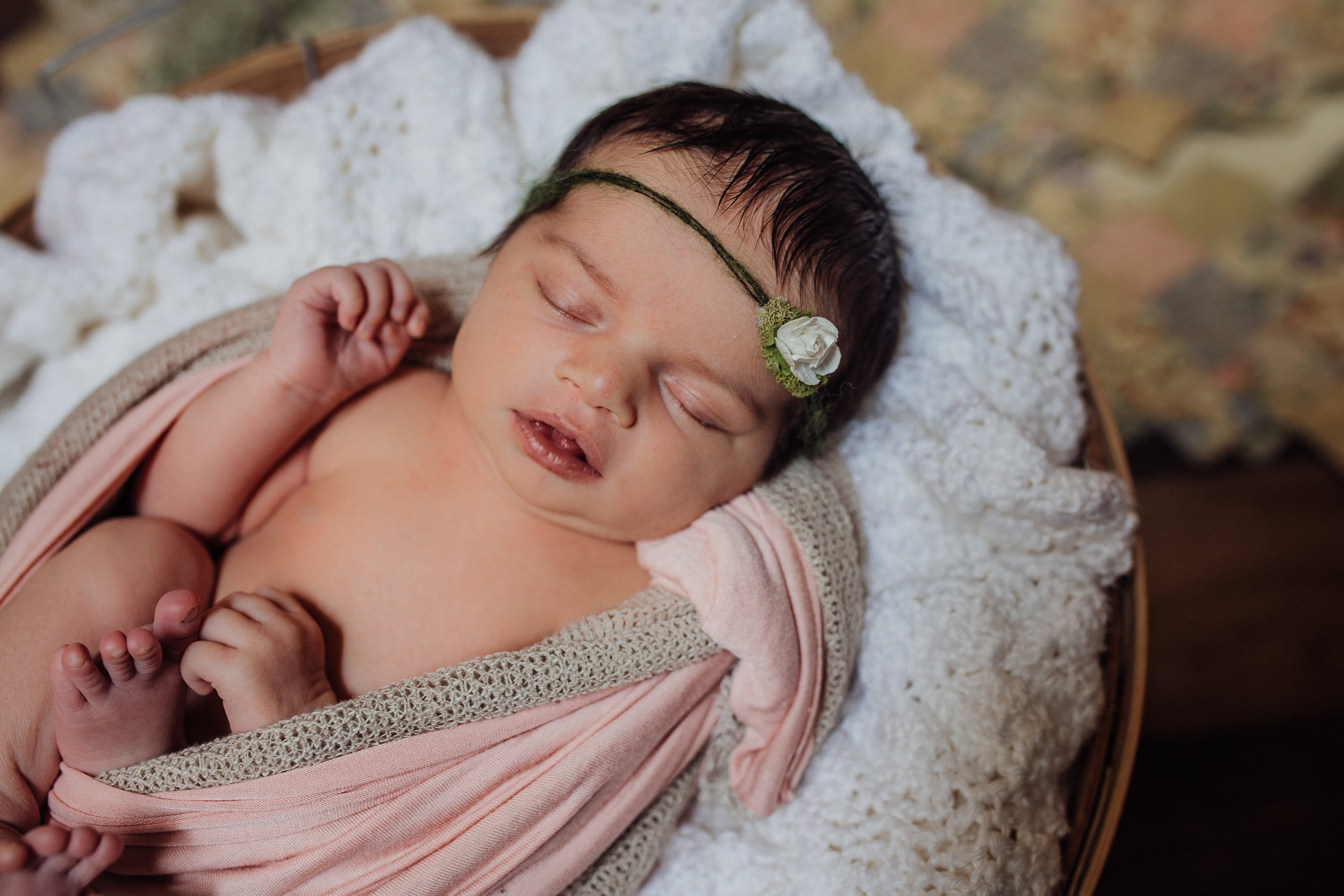 Deland Florida Newborn and Lifestyle photographer