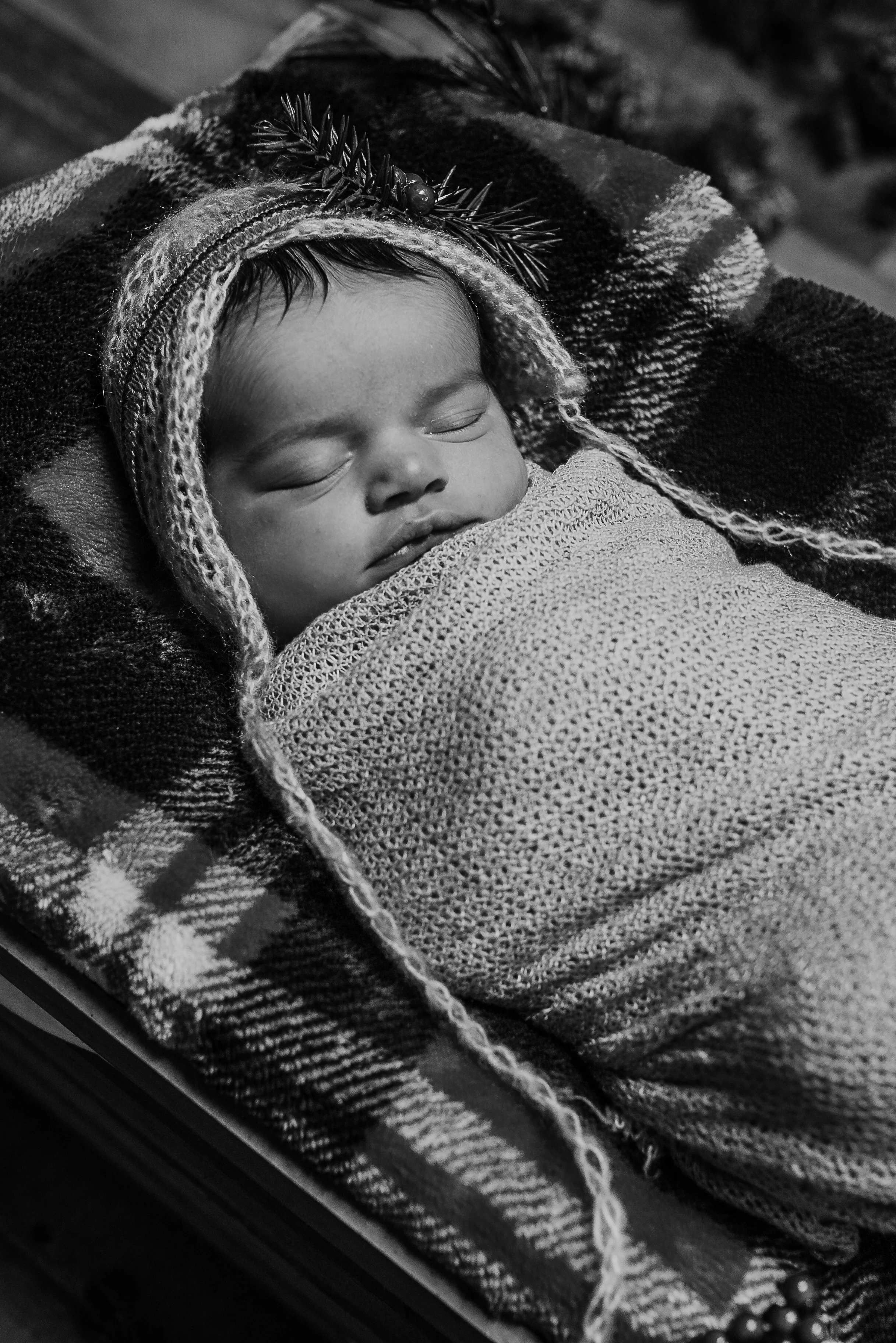Deland Florida Newborn and Lifestyle photographer