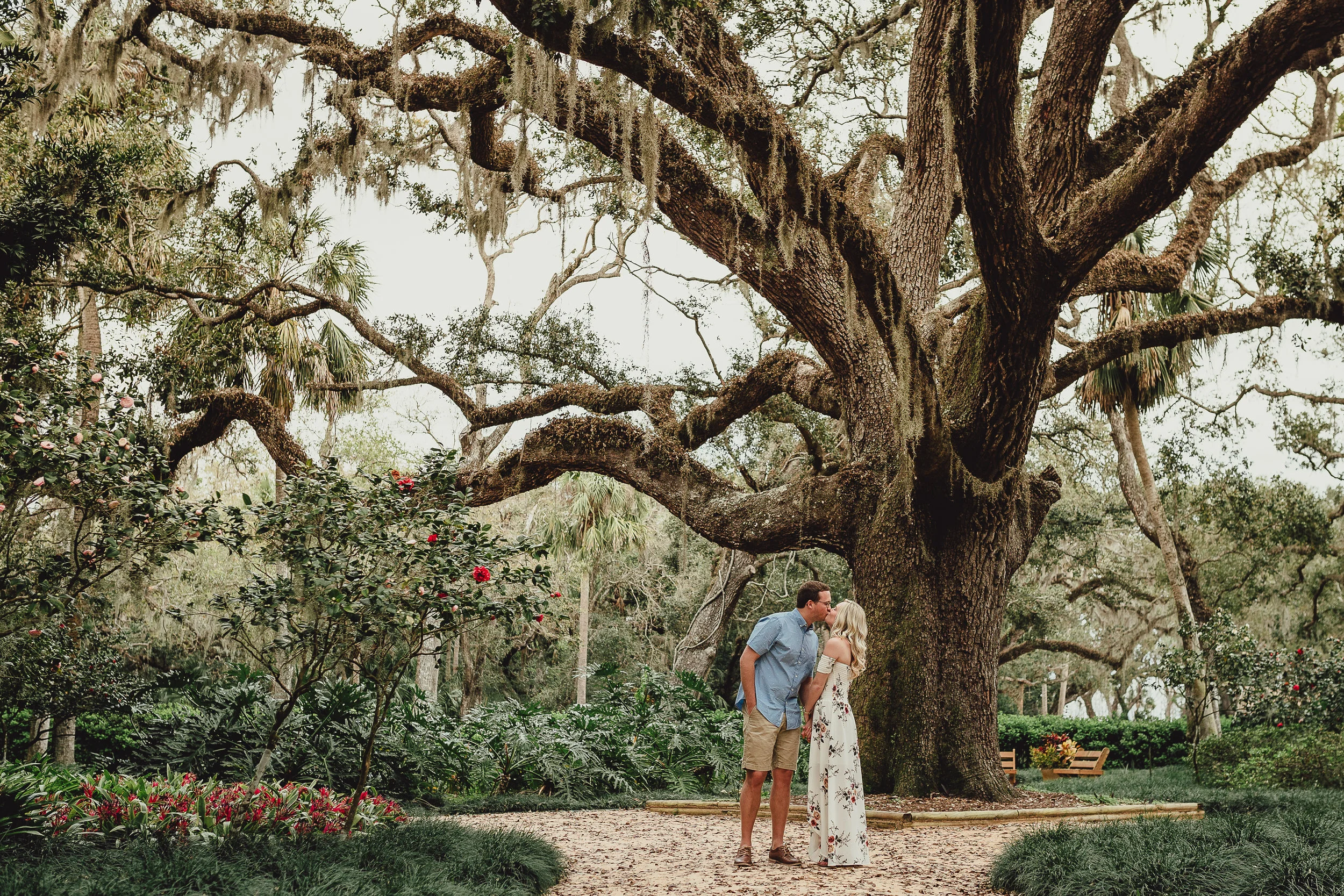 Daytona Beach Engagement Photographer, Washington Oaks Gardens engagement pictures