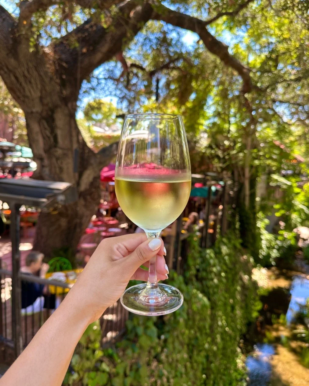 Our featured white wine, Lubanzi Chenin Blanc, is as vibrant as its story: born from adventure and named for a wandering dog who led two young travelers backpacking across South Africa's Wild Coast. 🍷

Sustainably made in South Africa&rsquo;s Swartl