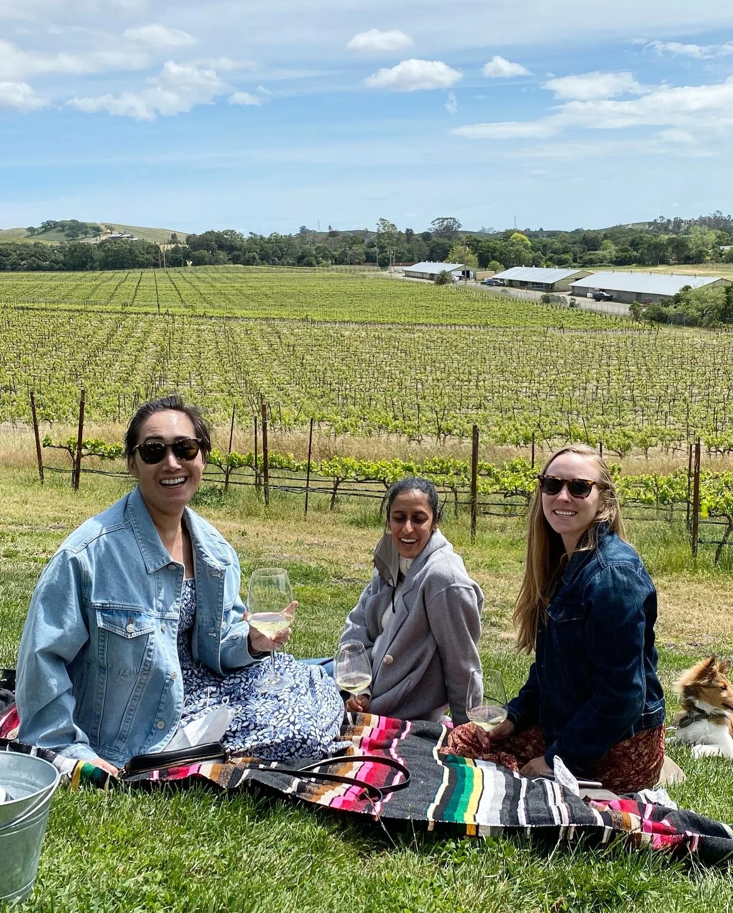 All three of us are vaccinated now, and we were able to celebrate that together on a recent trip to Sonoma