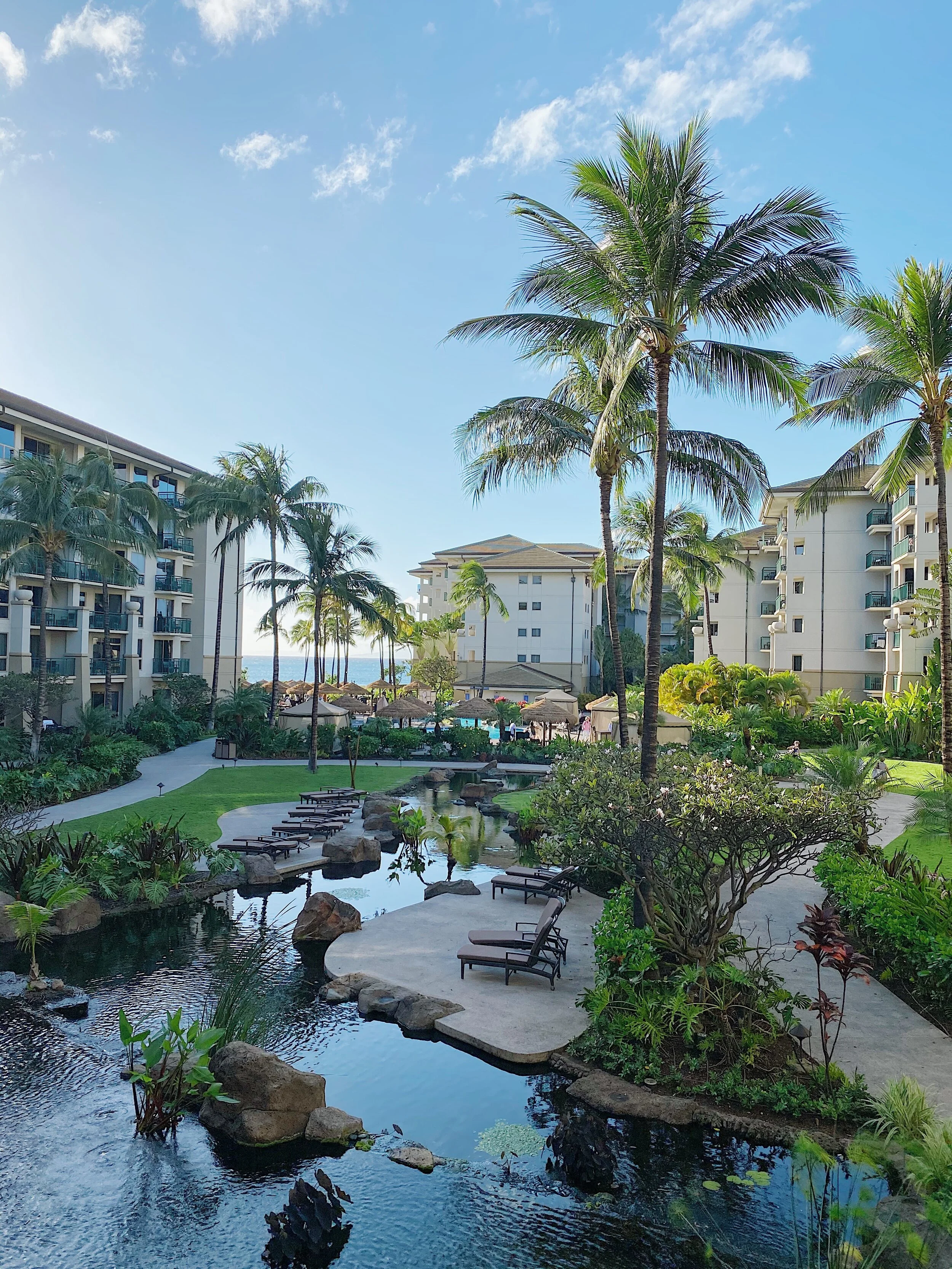 Maui Visual Diary