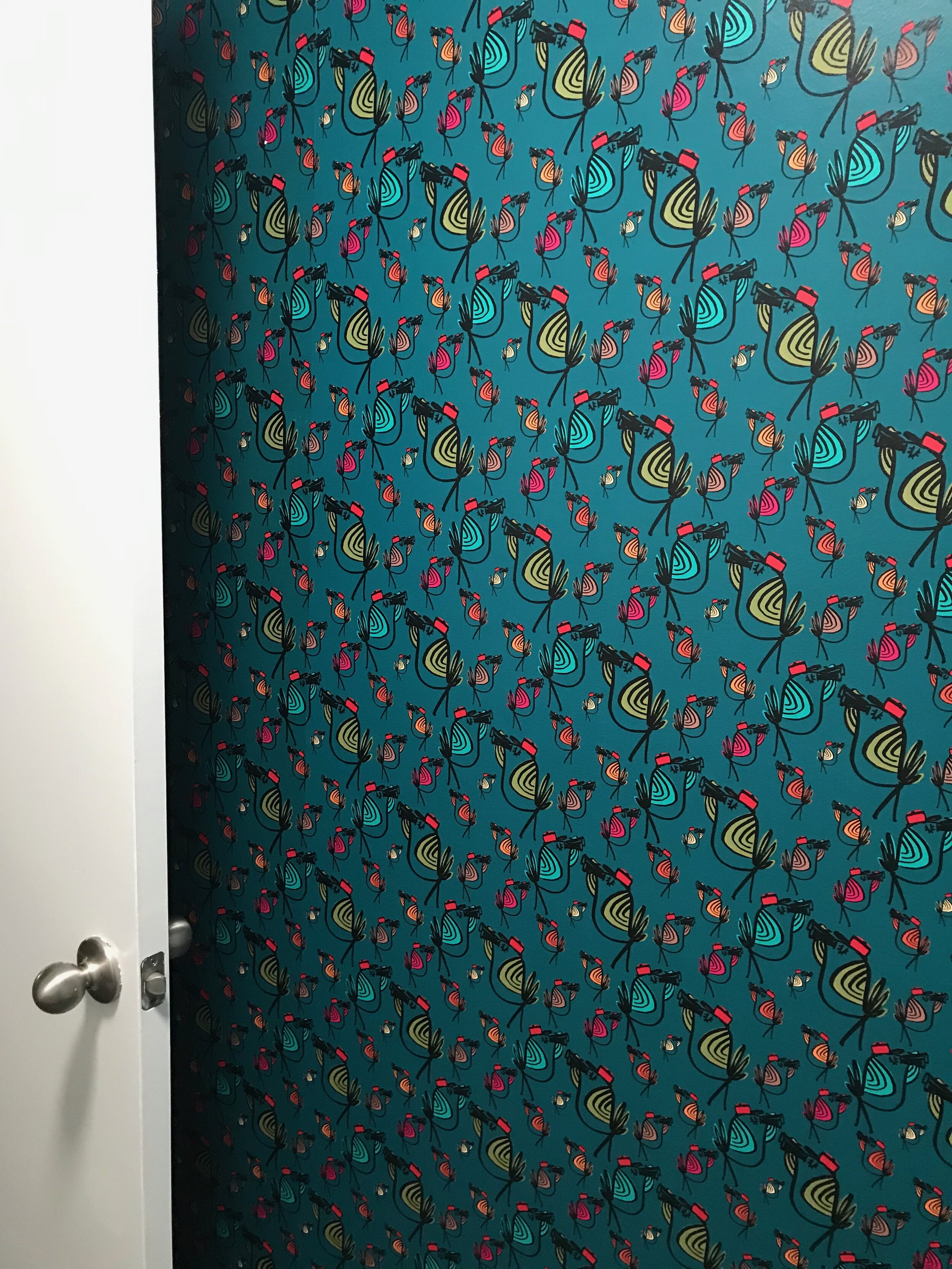 Binocular birds installed in my client's laundry room