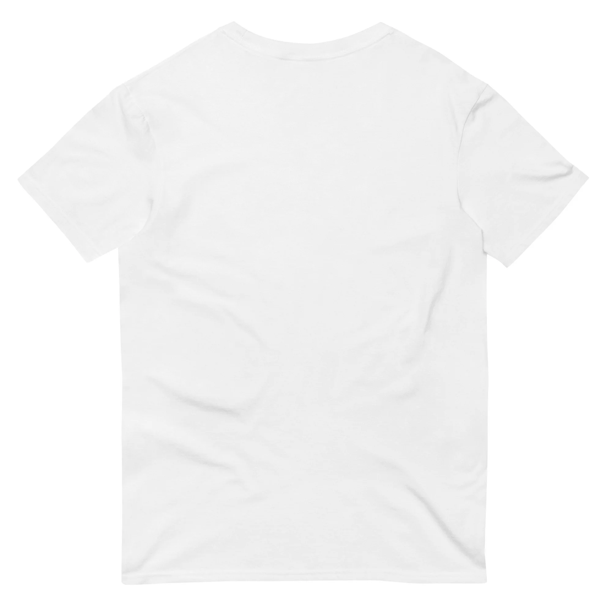 unisex-lightweight-t-shirt-white-back-696805ea964c3.jpg