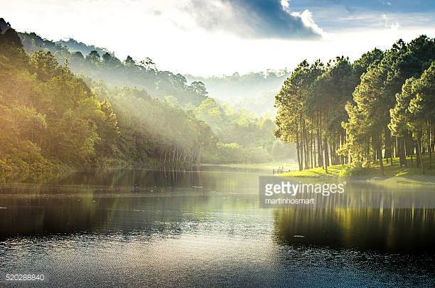 Photo by martinhosmart/iStock / Getty Images