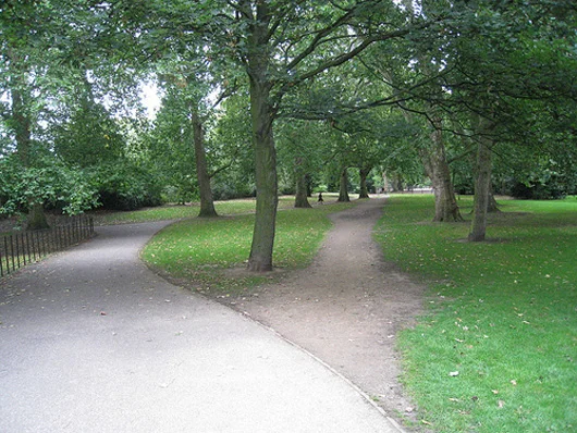 desire_path.jpg