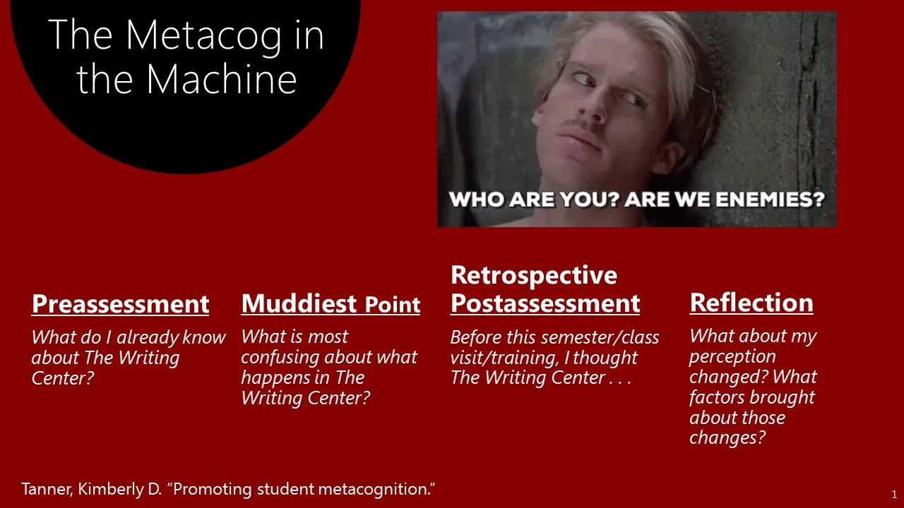 The Metacog in the Machine.jpg