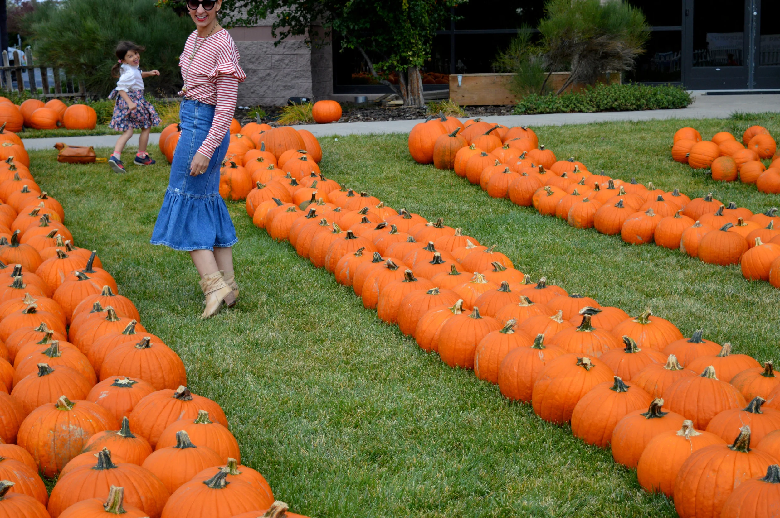 Pumpkin Patch Aurora 32.jpg