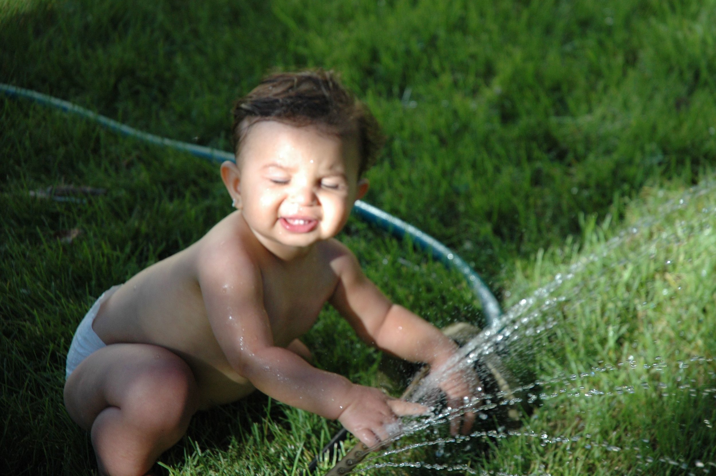 A Sprinkling of Our Summer