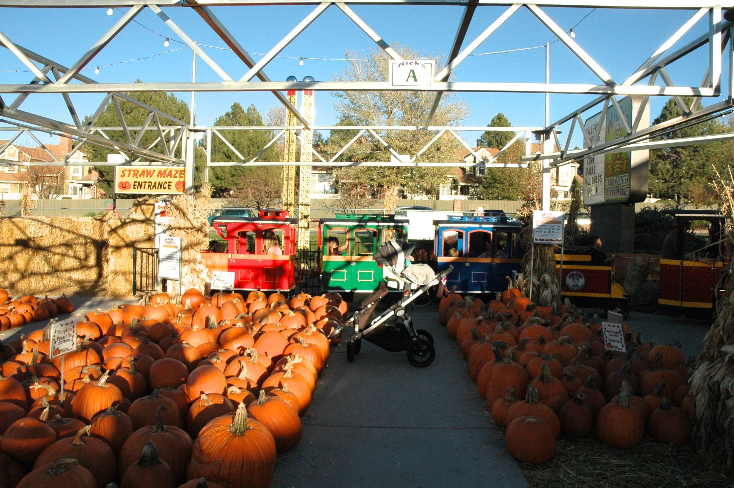 "P" is for Pumpkin!